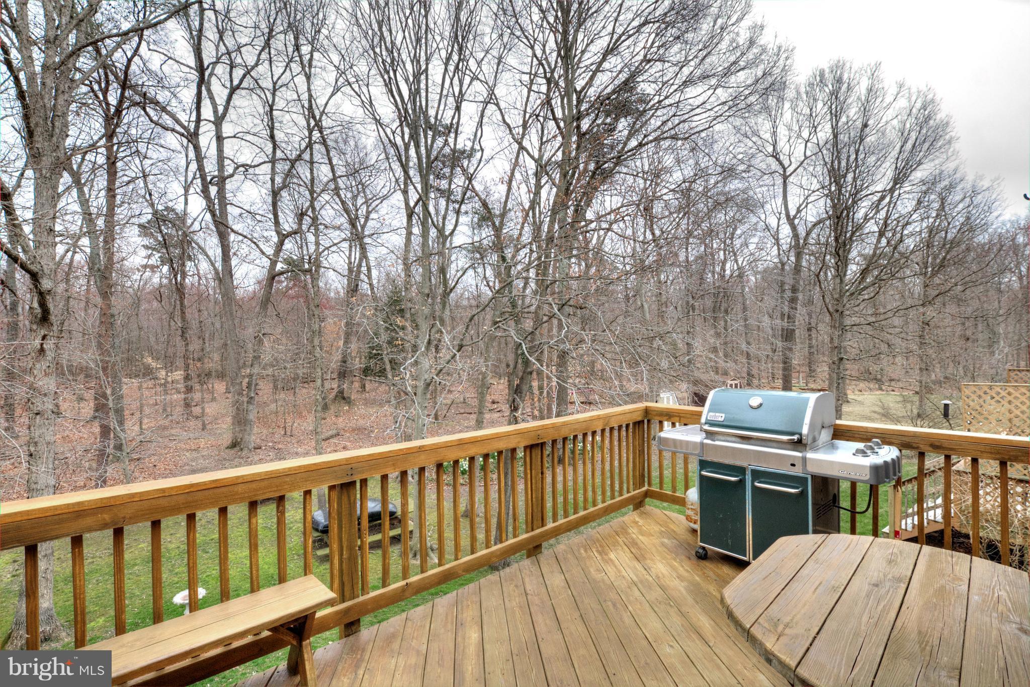 8279 Wold Den Court Springfield, VA 22153 - Photo 4 of 27 Exterior (Rear)