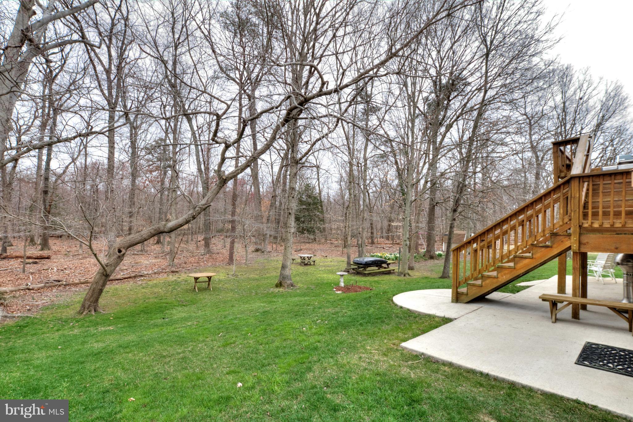 8279 Wold Den Court Springfield, VA 22153 - Photo 5 of 27 Exterior (Rear)