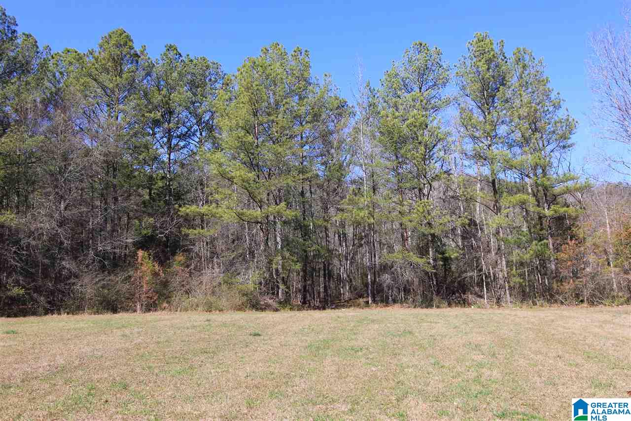 0 Rabbittown Road, Unit 14 11 Piedmont, AL 36272 - Photo 5 of 8