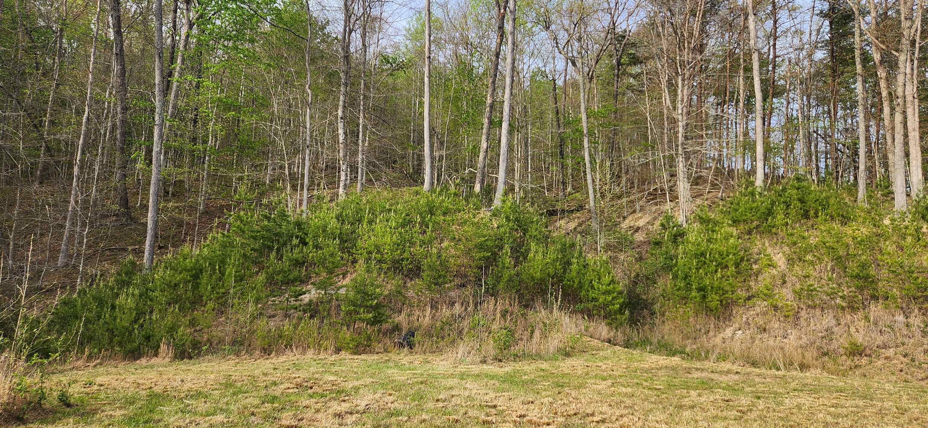 Stinson Creek Road Grayson, KY 41143 - Photo 8 of 14