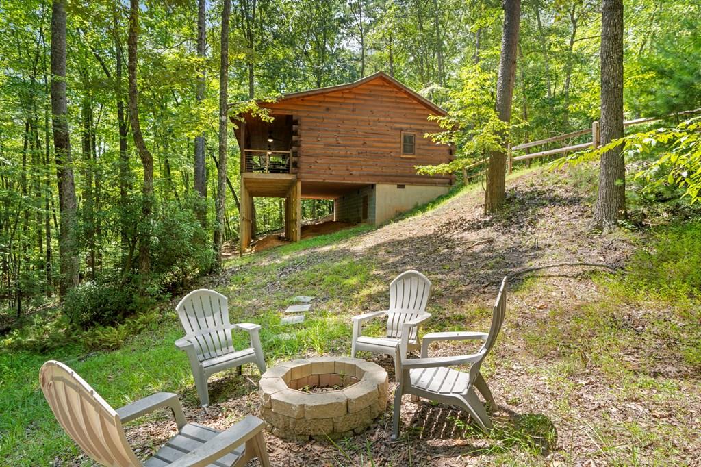 868 Granny Branch Drive Blue Ridge, GA 30513 - Photo 1 of 45 Main View
