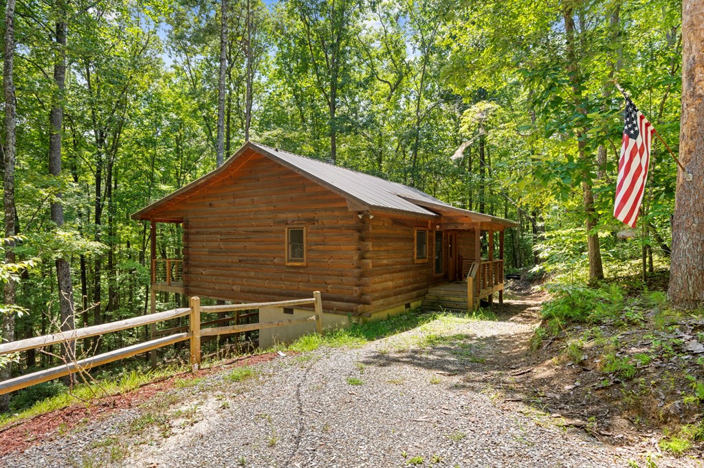 868 Granny Branch Drive Blue Ridge, GA 30513 - Photo 3 of 45
