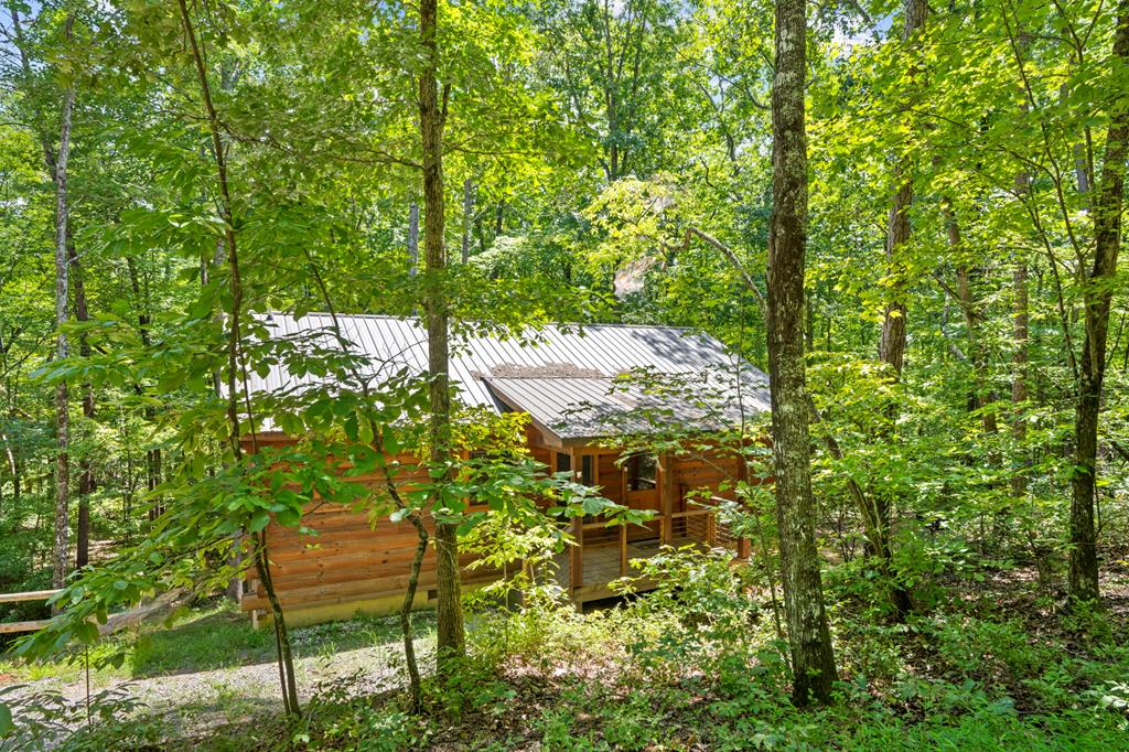868 Granny Branch Drive Blue Ridge, GA 30513 - Photo 36 of 45