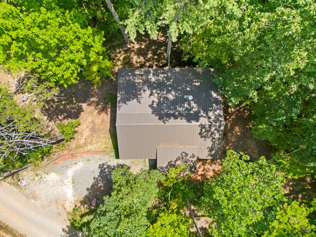 868 Granny Branch Drive Blue Ridge, GA 30513 - Photo 38 of 45