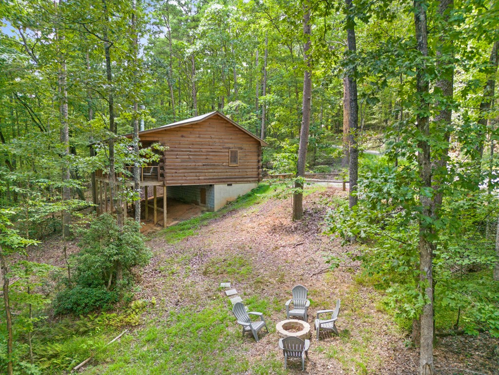 868 Granny Branch Drive Blue Ridge, GA 30513 - Photo 39 of 45