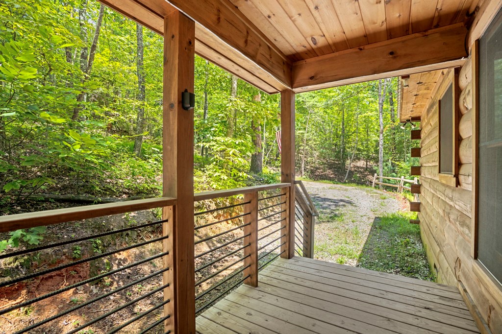 868 Granny Branch Drive Blue Ridge, GA 30513 - Photo 43 of 45