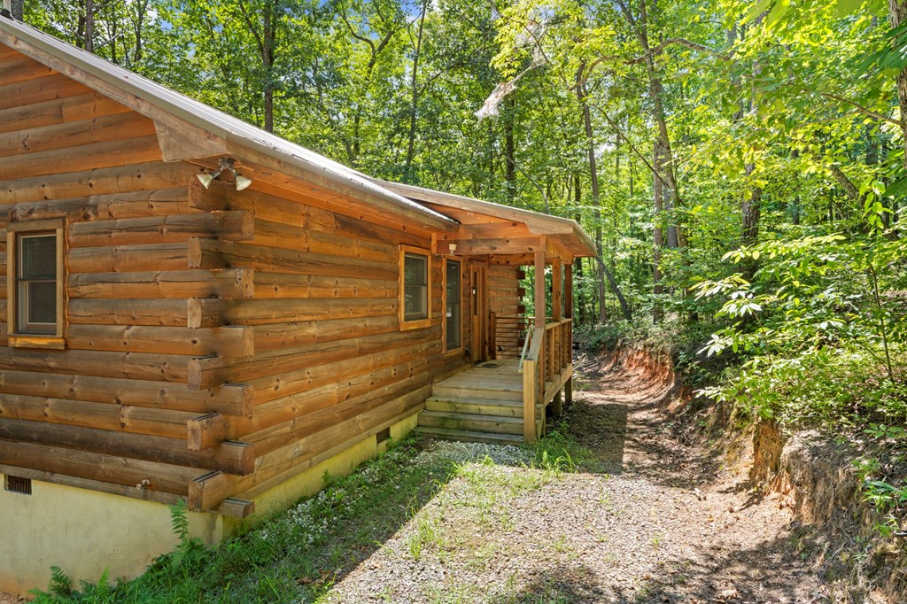 868 Granny Branch Drive Blue Ridge, GA 30513 - Photo 45 of 45