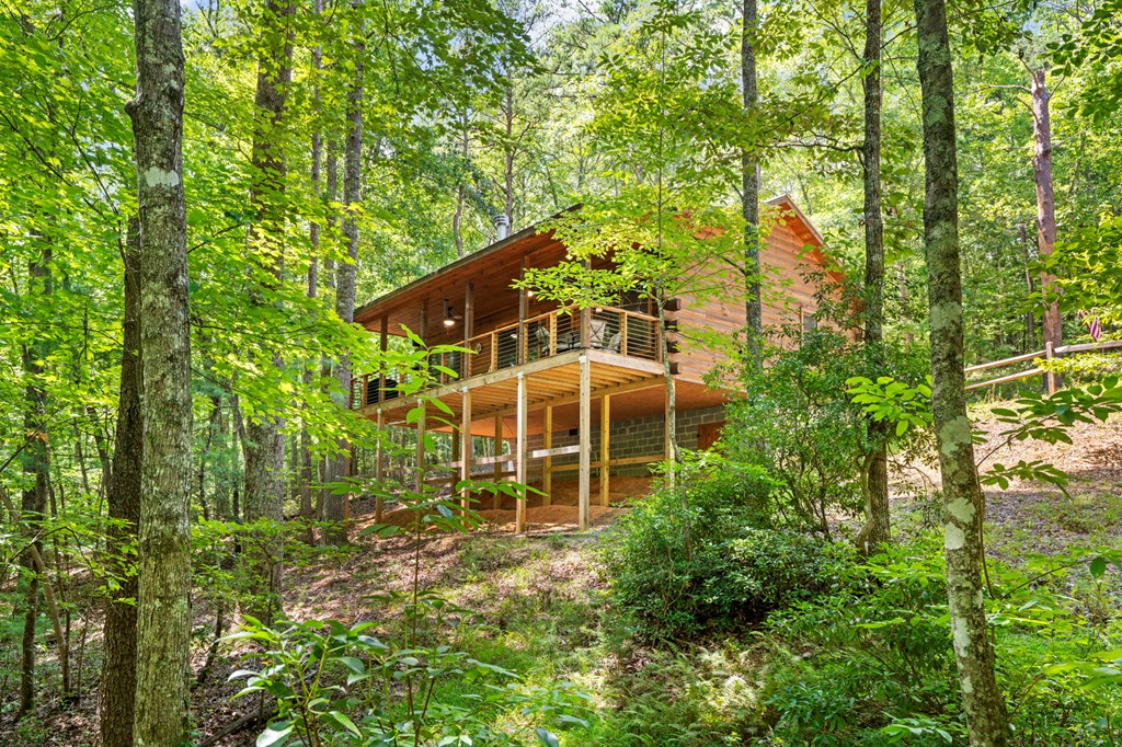 868 Granny Branch Drive Blue Ridge, GA 30513 - Photo 5 of 45