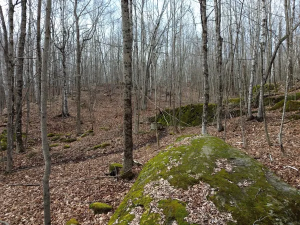 $89,900 | 62 Grove Street, Dexter, ME 04930