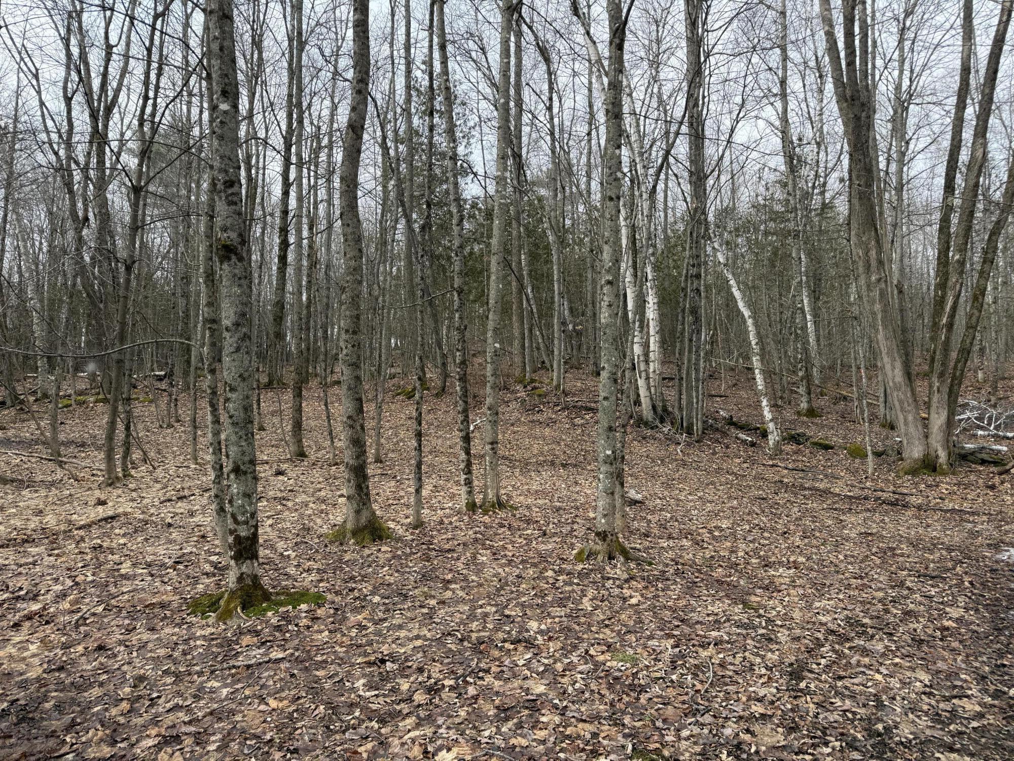 62 Grove Street Dexter, ME 04930 - Photo 11 of 23 IMG_5610