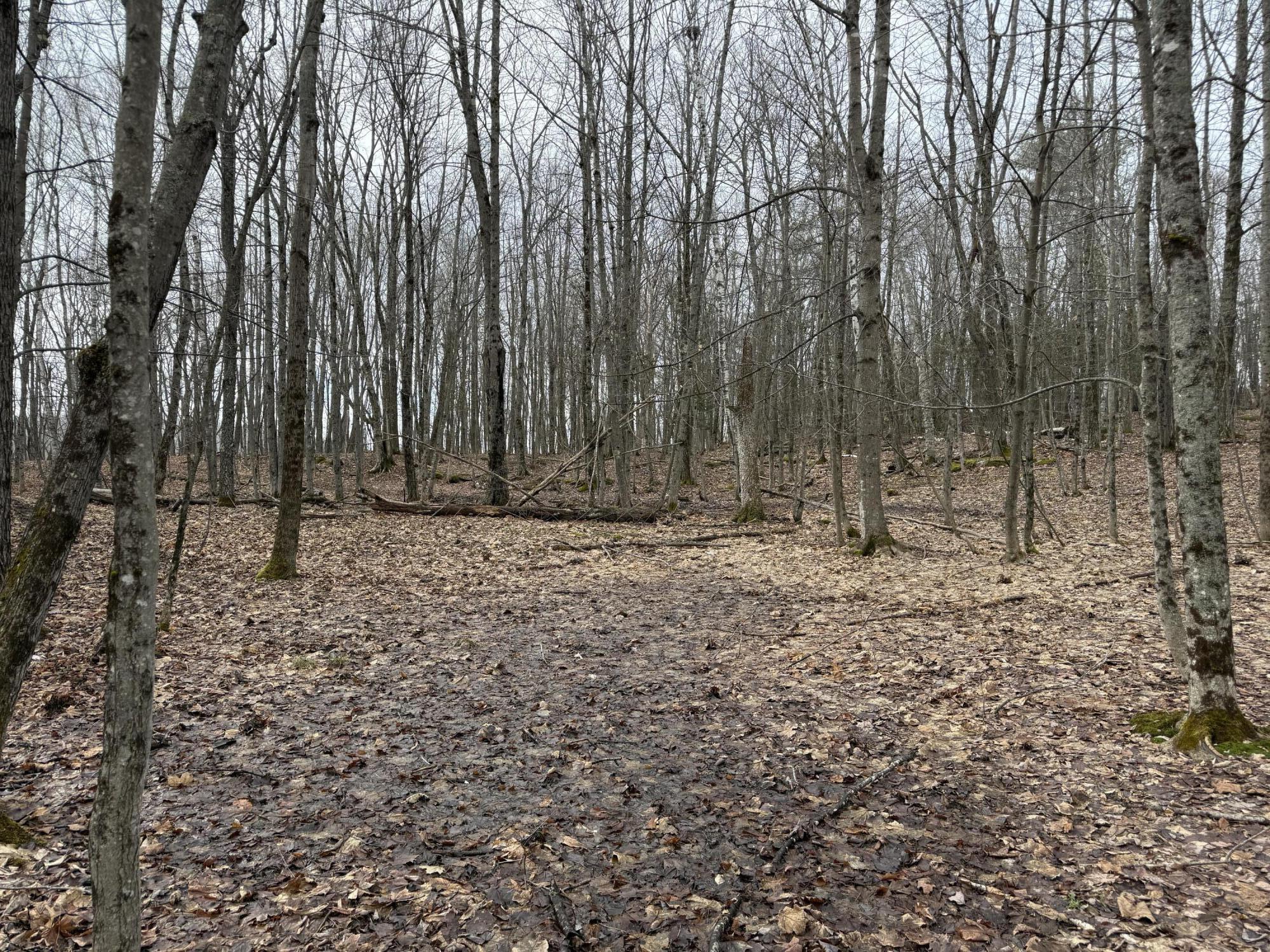 62 Grove Street Dexter, ME 04930 - Photo 12 of 23 IMG_5609