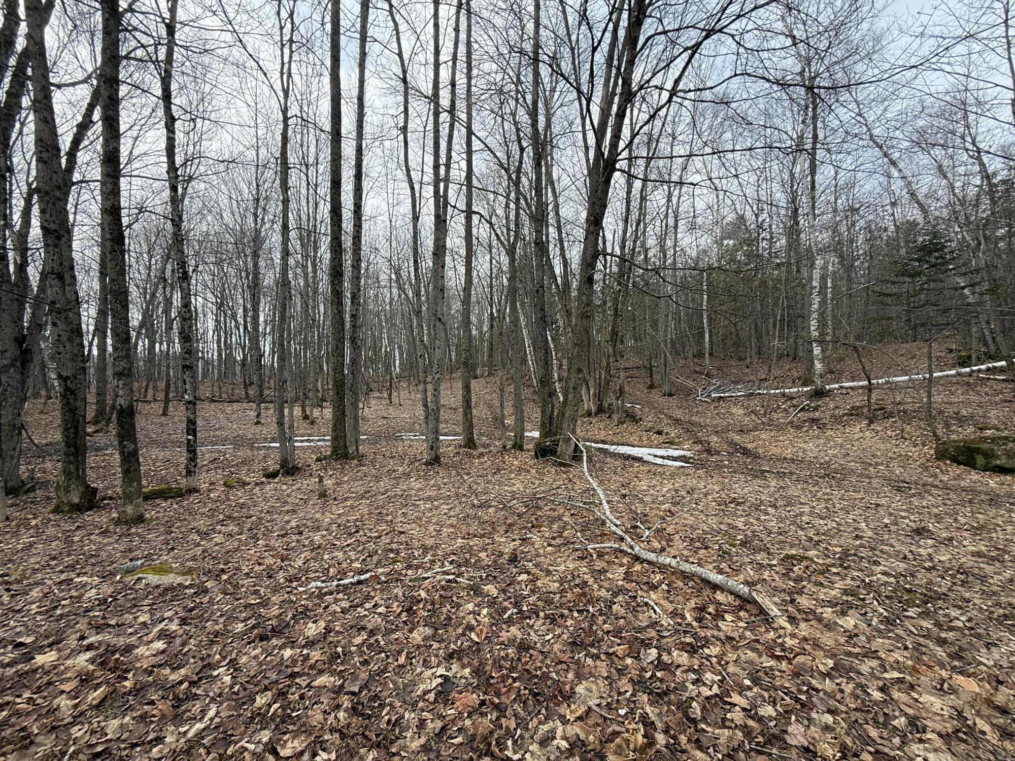 62 Grove Street Dexter, ME 04930 - Photo 13 of 23 IMG_5607