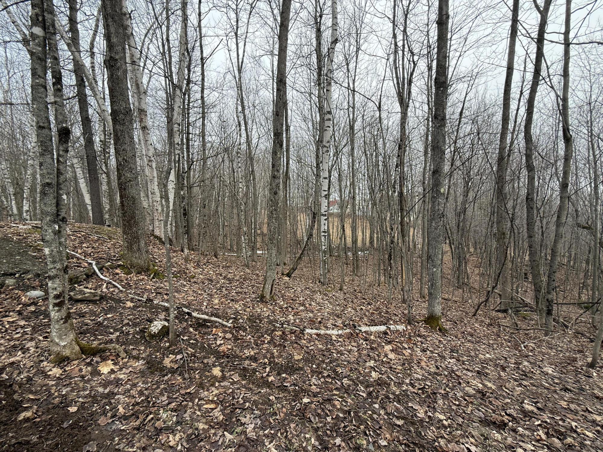 62 Grove Street Dexter, ME 04930 - Photo 14 of 23 IMG_5606