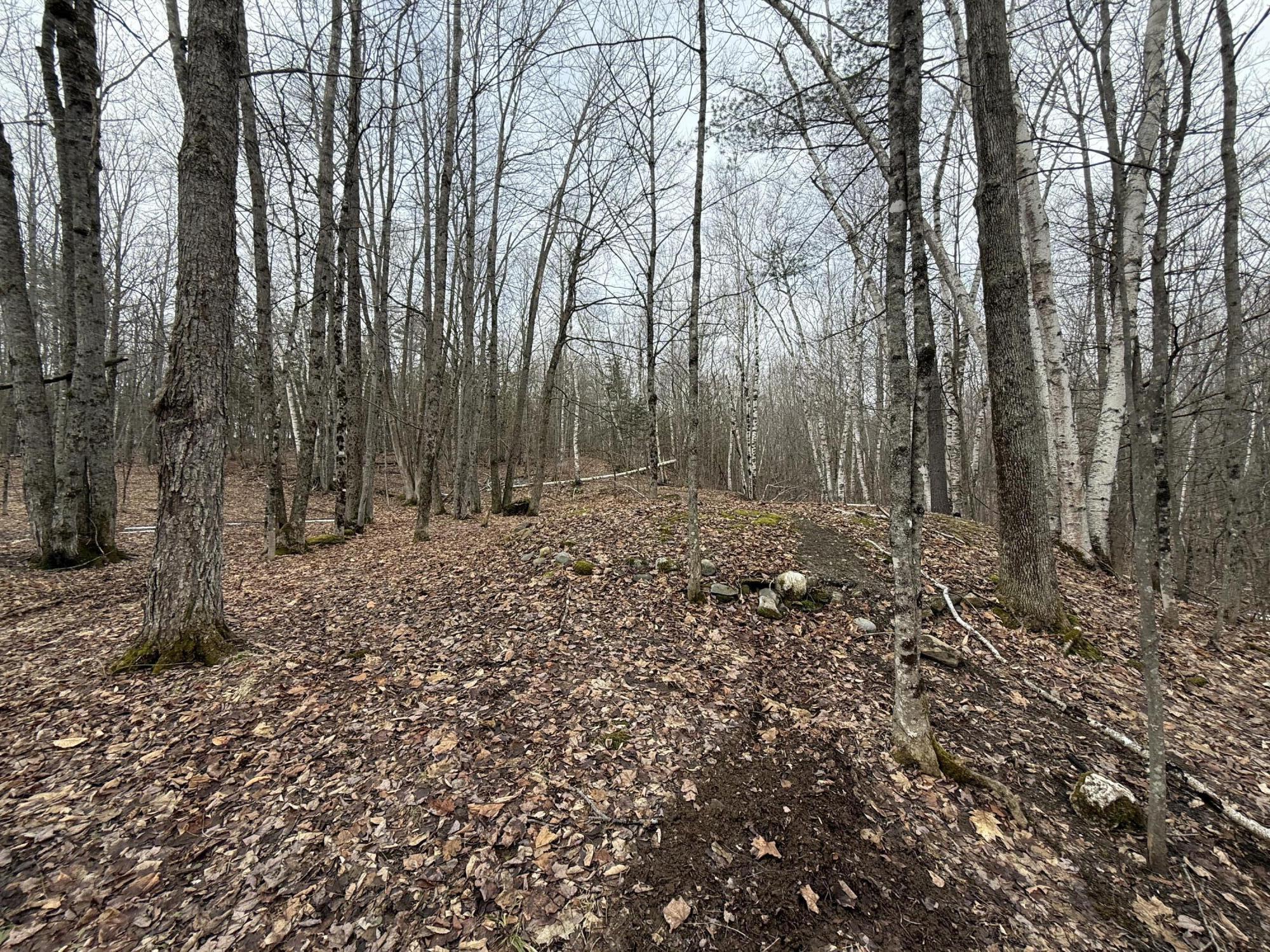 62 Grove Street Dexter, ME 04930 - Photo 15 of 23 IMG_5605