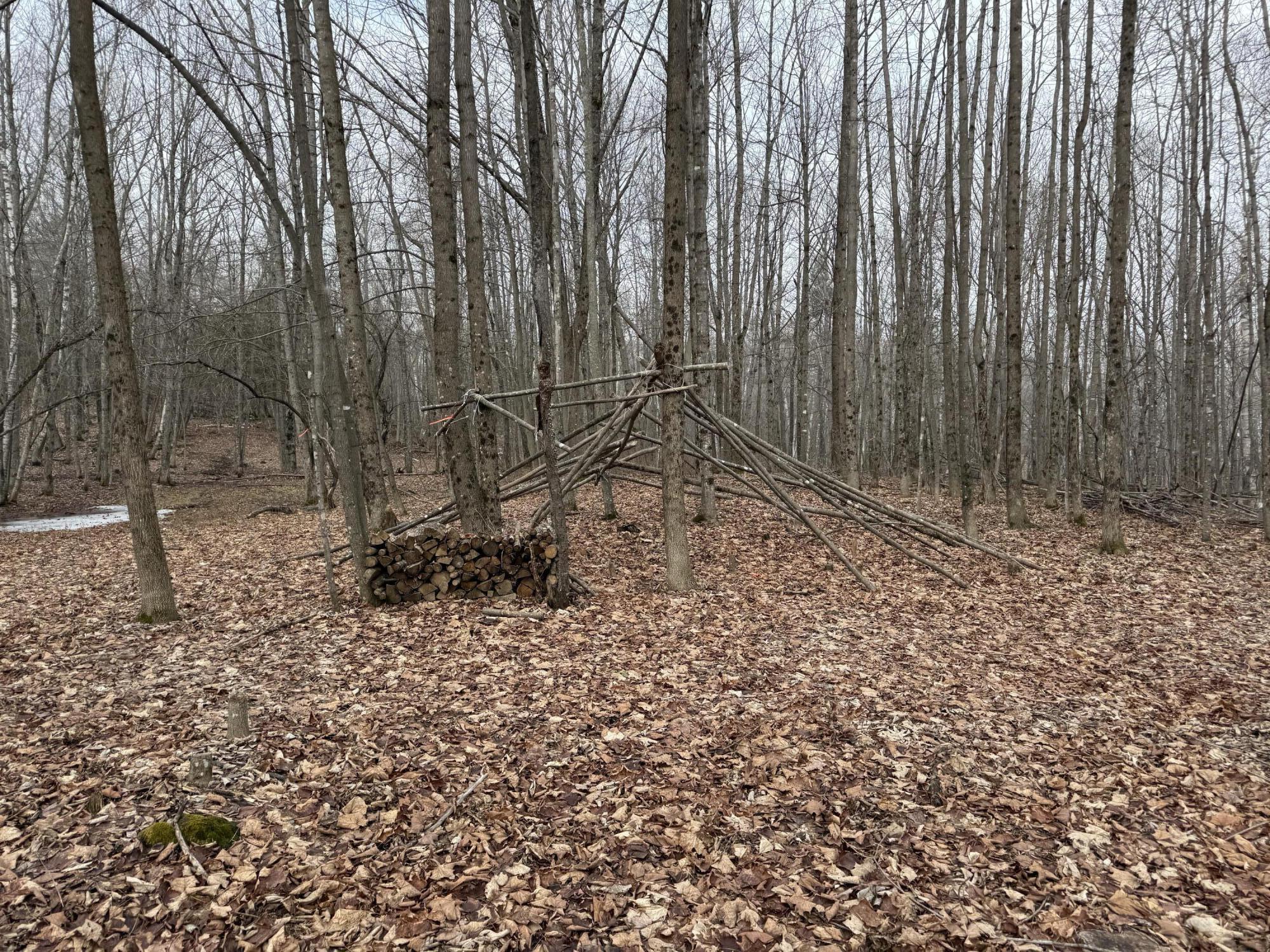 62 Grove Street Dexter, ME 04930 - Photo 16 of 23 IMG_5603