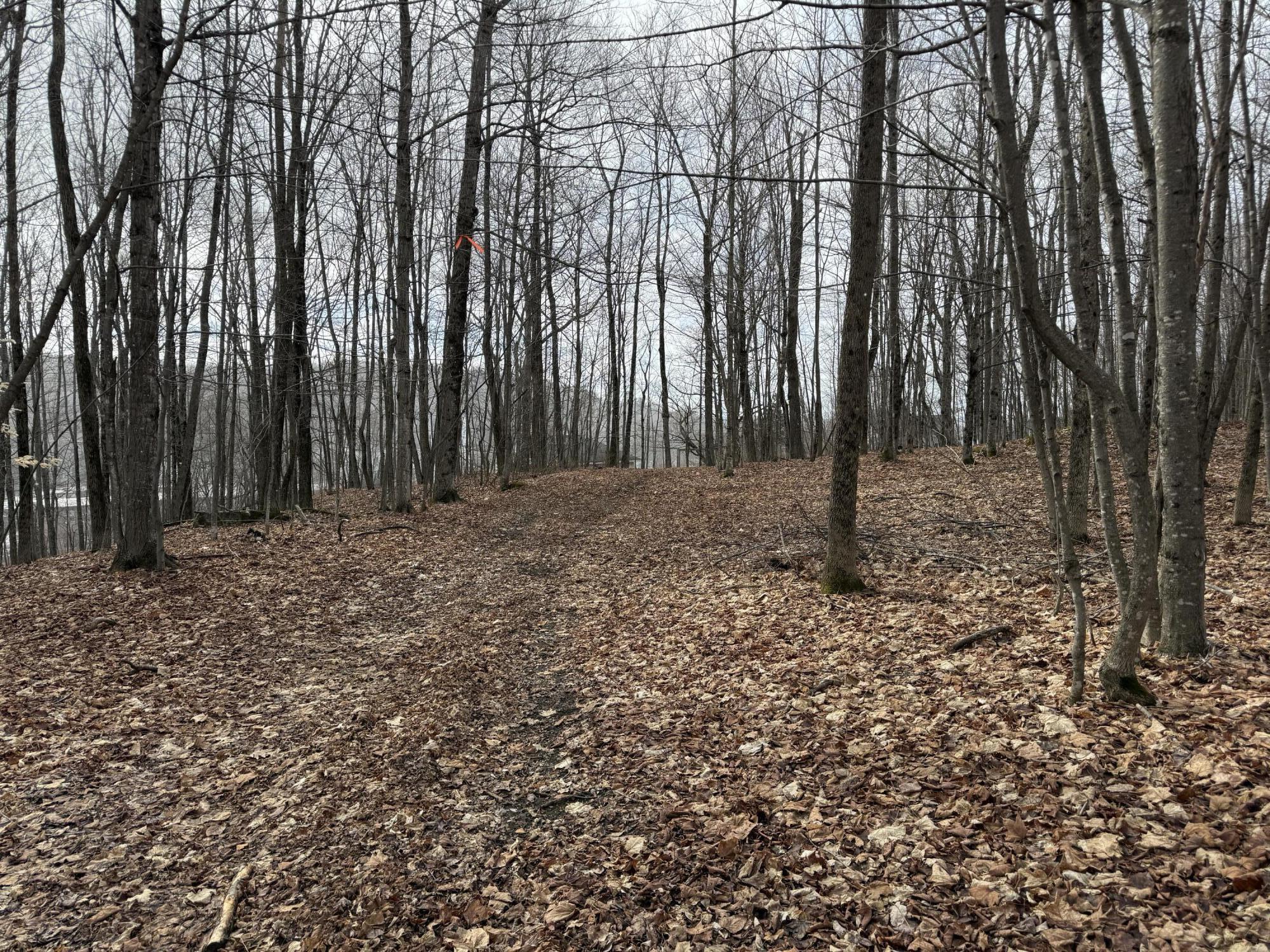 62 Grove Street Dexter, ME 04930 - Photo 17 of 23 IMG_5602