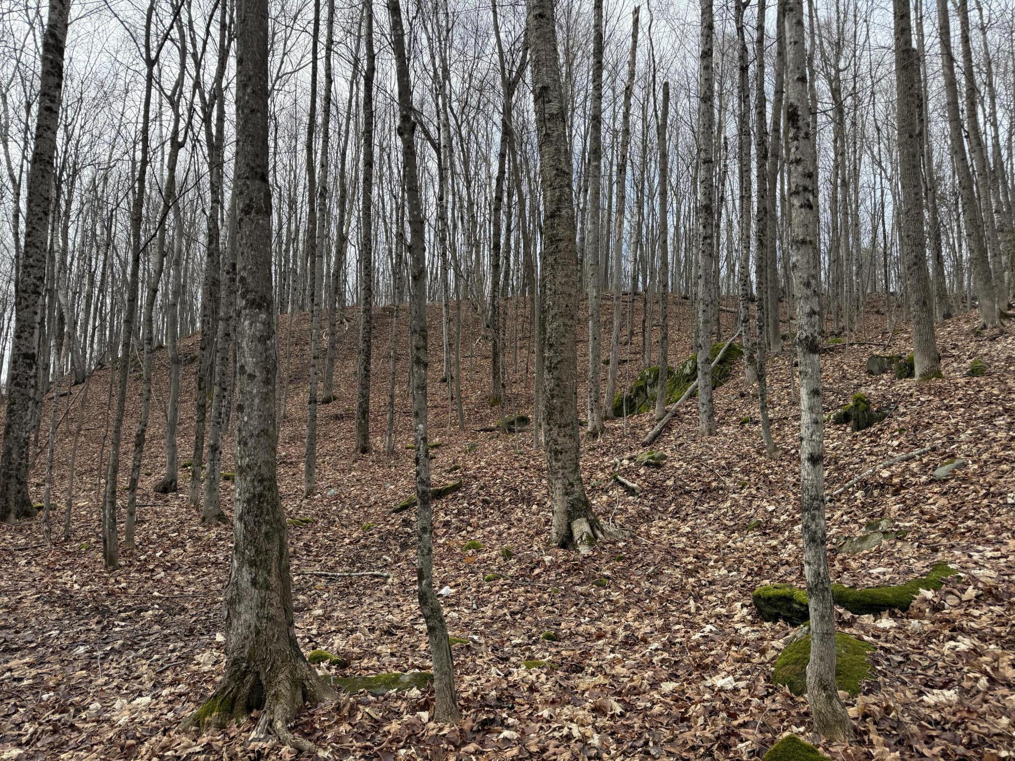 62 Grove Street Dexter, ME 04930 - Photo 18 of 23 IMG_5596