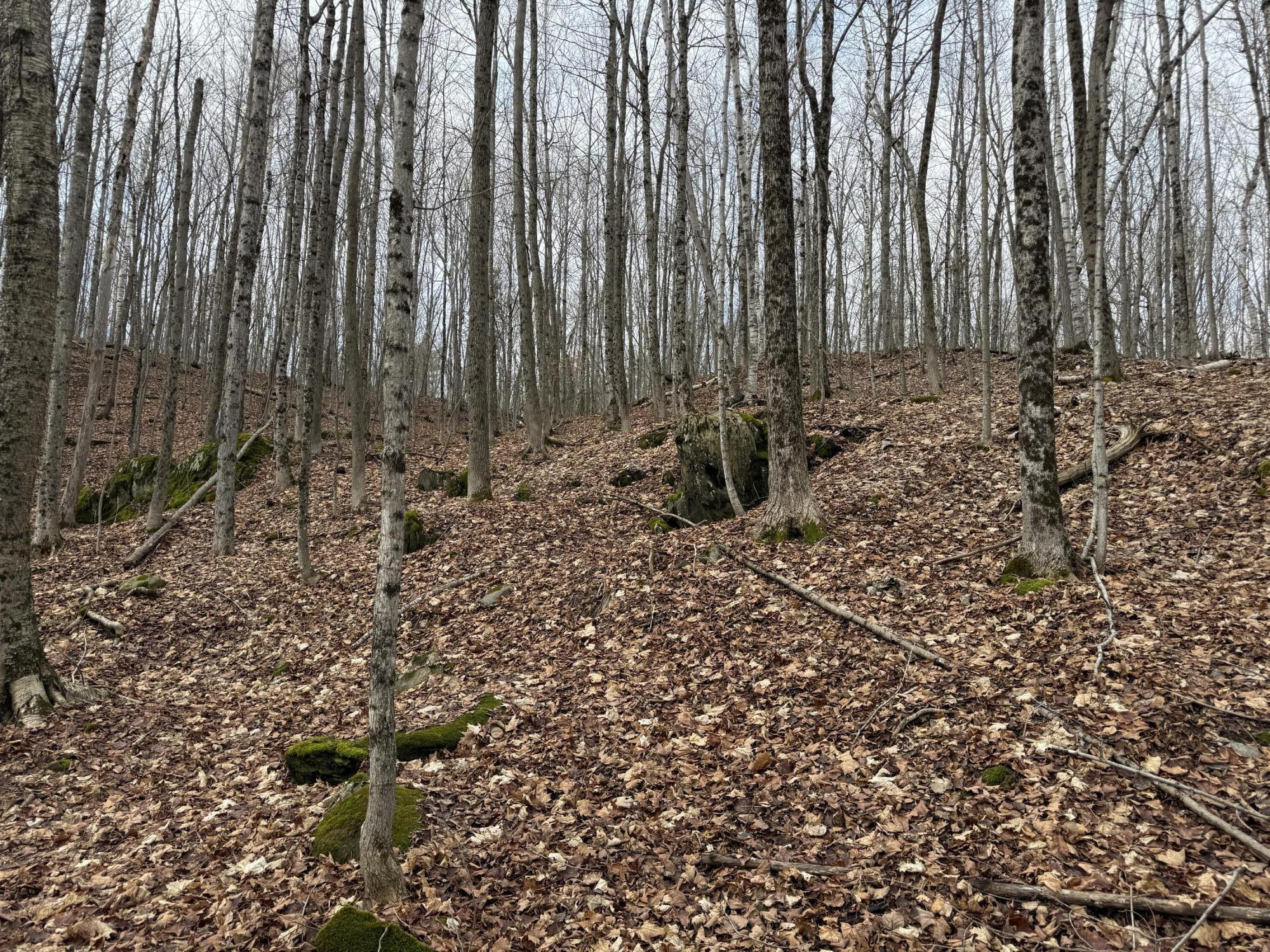 62 Grove Street Dexter, ME 04930 - Photo 19 of 23 IMG_5597