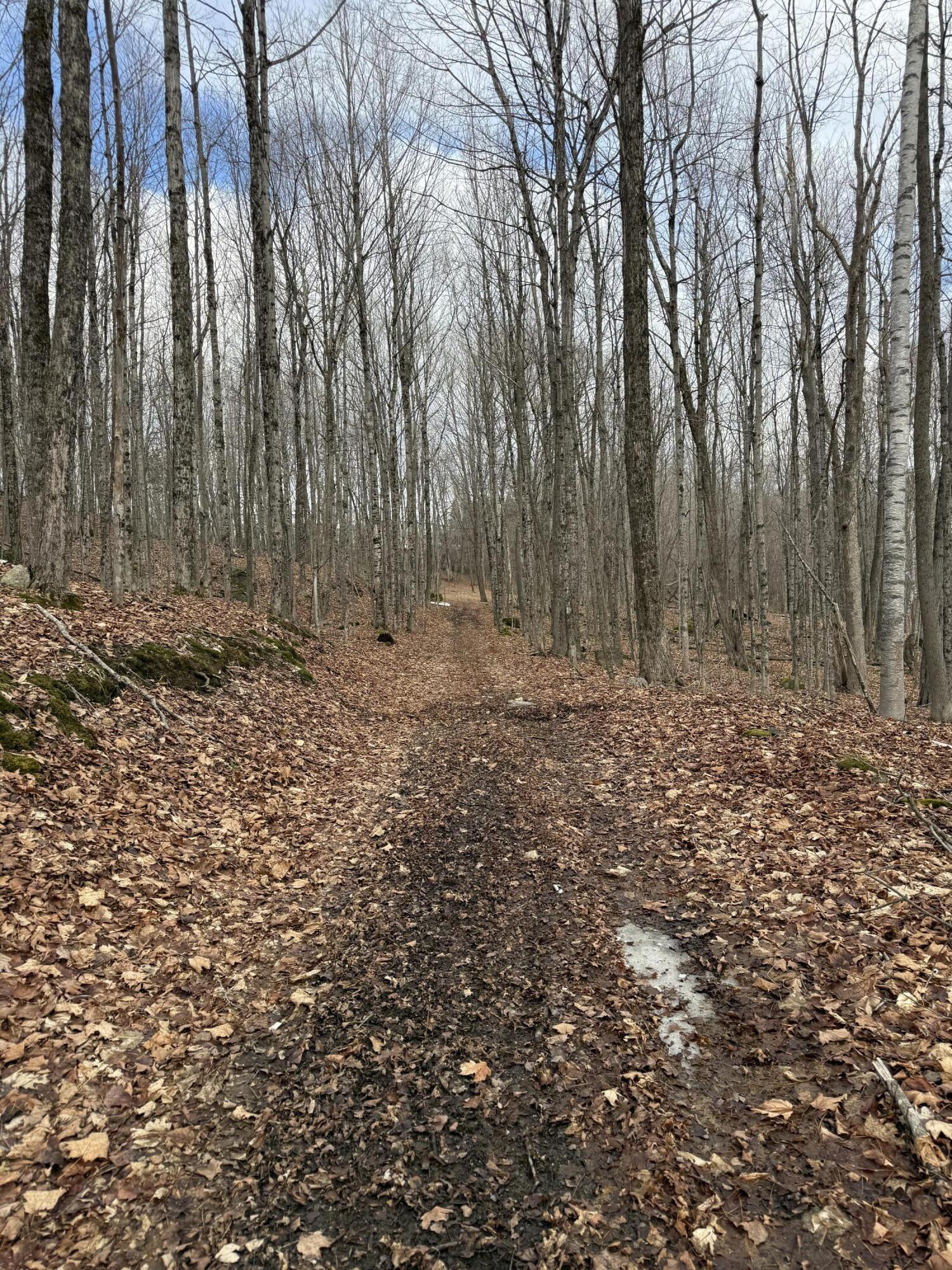 62 Grove Street Dexter, ME 04930 - Photo 20 of 23 IMG_5595