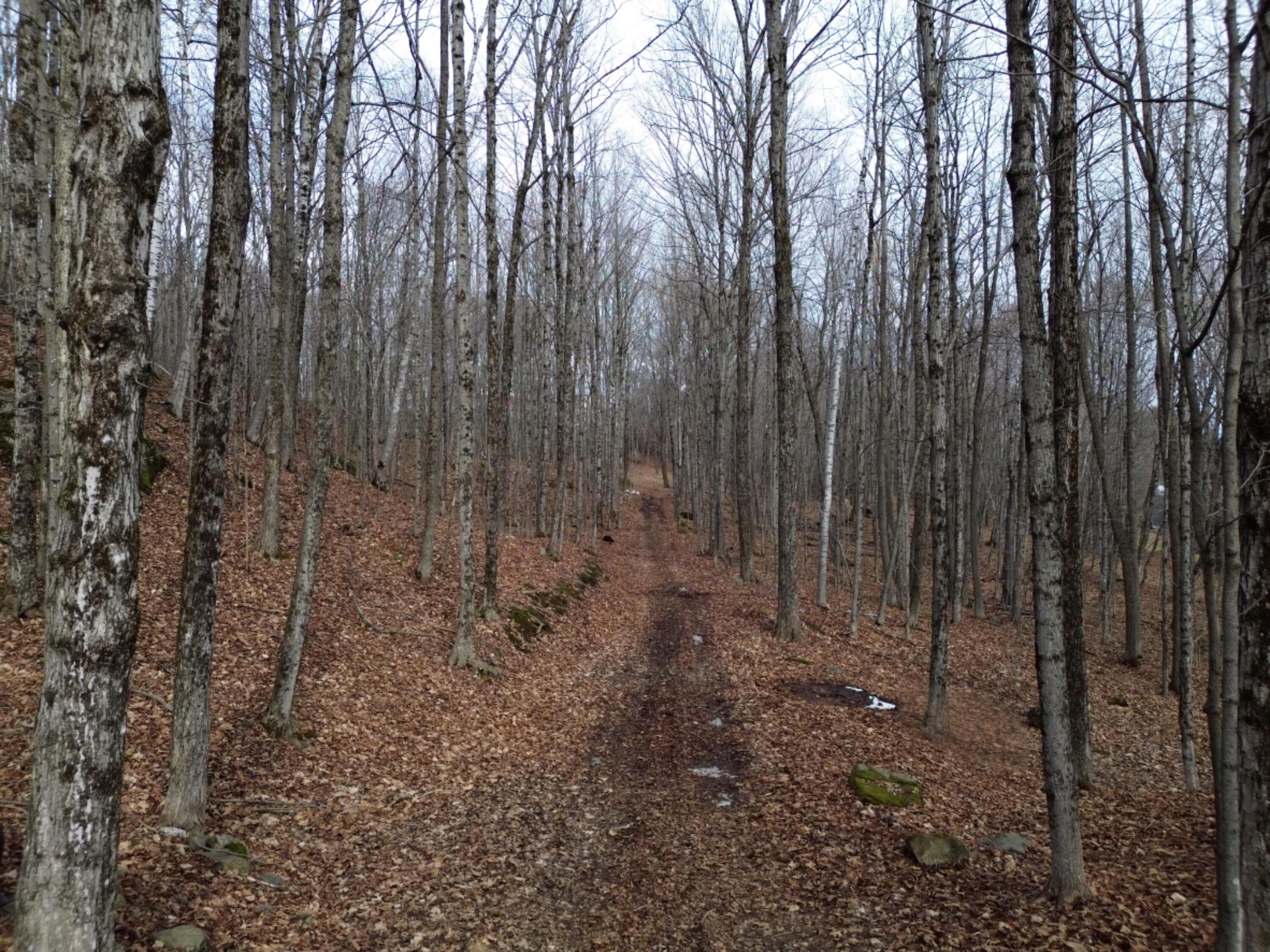 62 Grove Street Dexter, ME 04930 - Photo 2 of 23 DJI_0443_nomattress