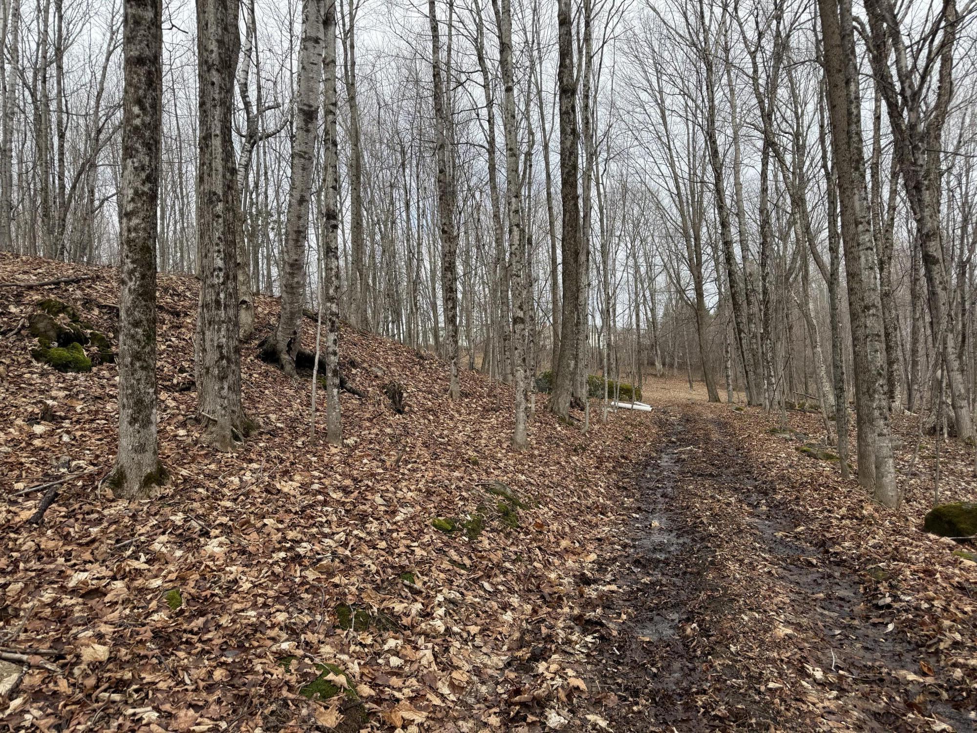 62 Grove Street Dexter, ME 04930 - Photo 21 of 23 IMG_5598