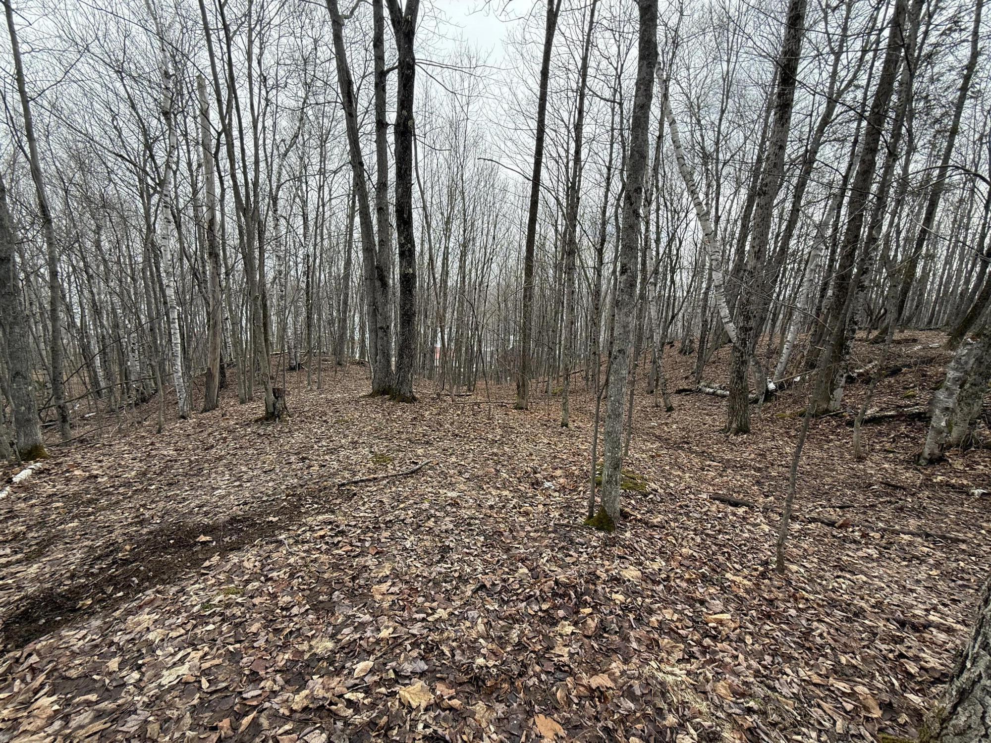 62 Grove Street Dexter, ME 04930 - Photo 22 of 23 IMG_5604