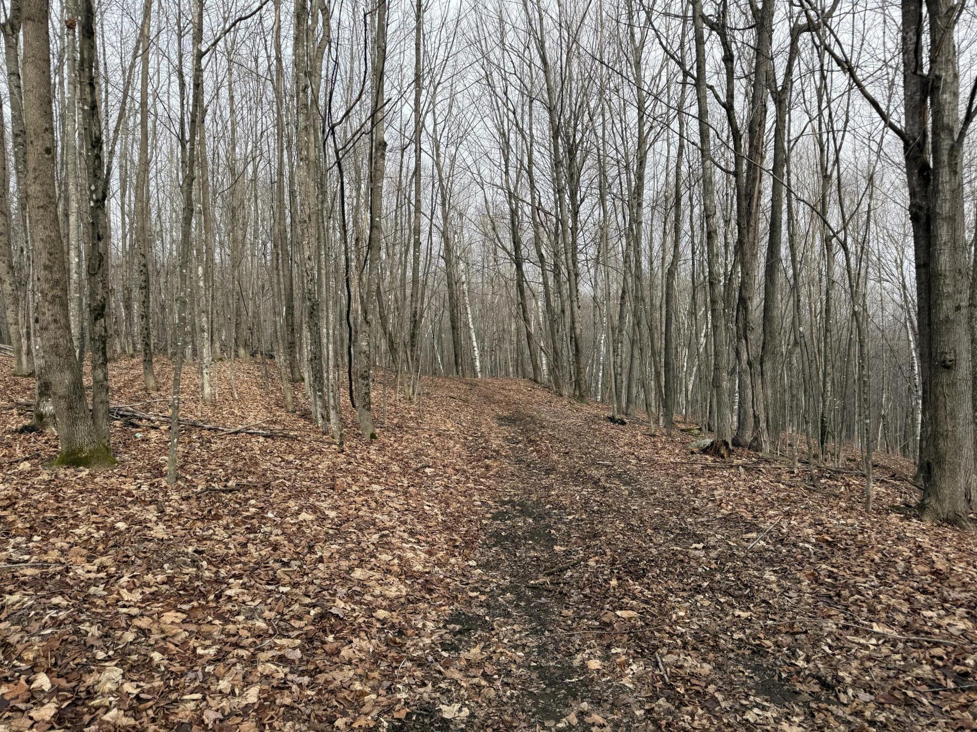 62 Grove Street Dexter, ME 04930 - Photo 23 of 23 IMG_5601