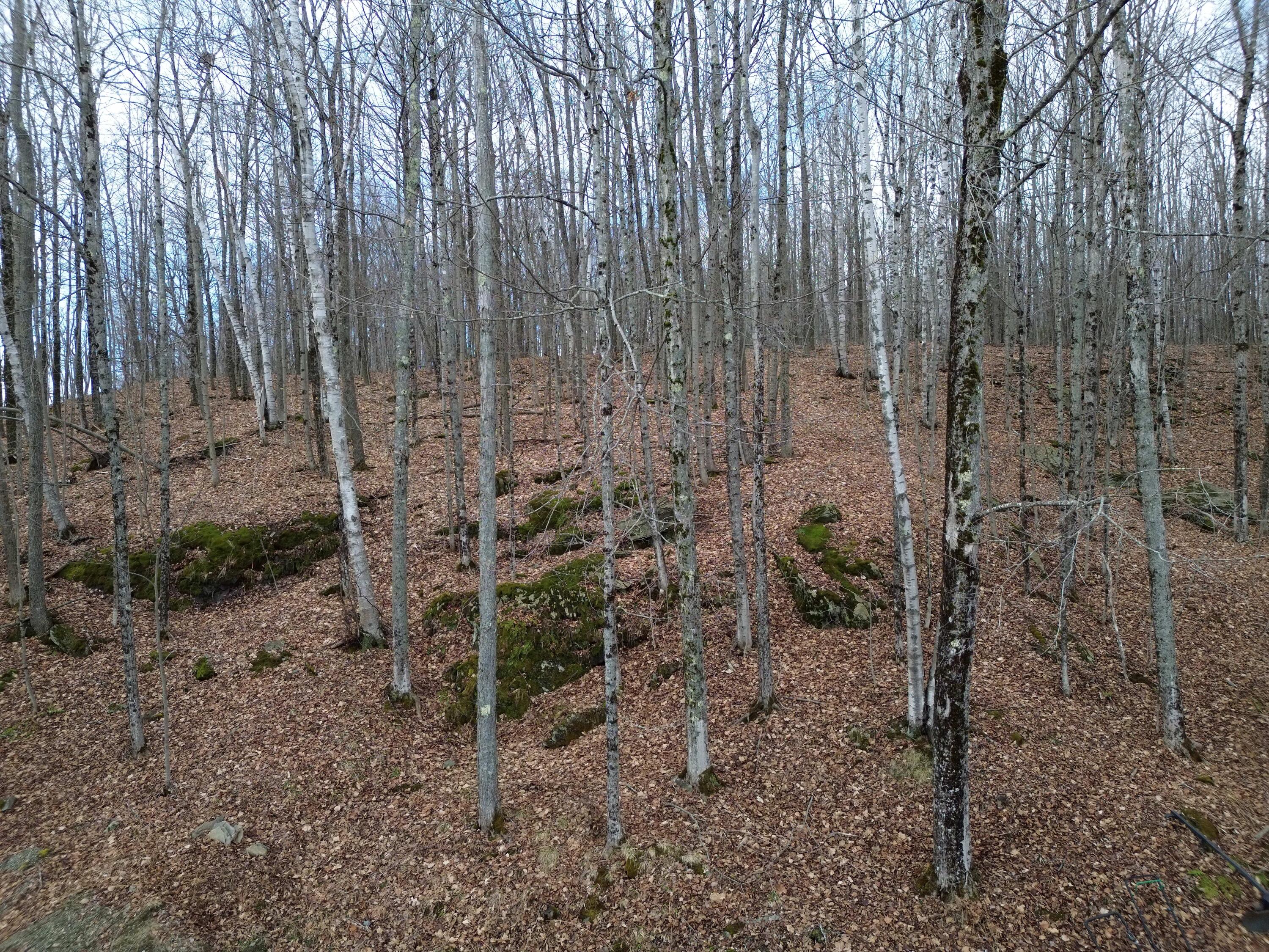 62 Grove Street Dexter, ME 04930 - Photo 3 of 23 DJI_0434