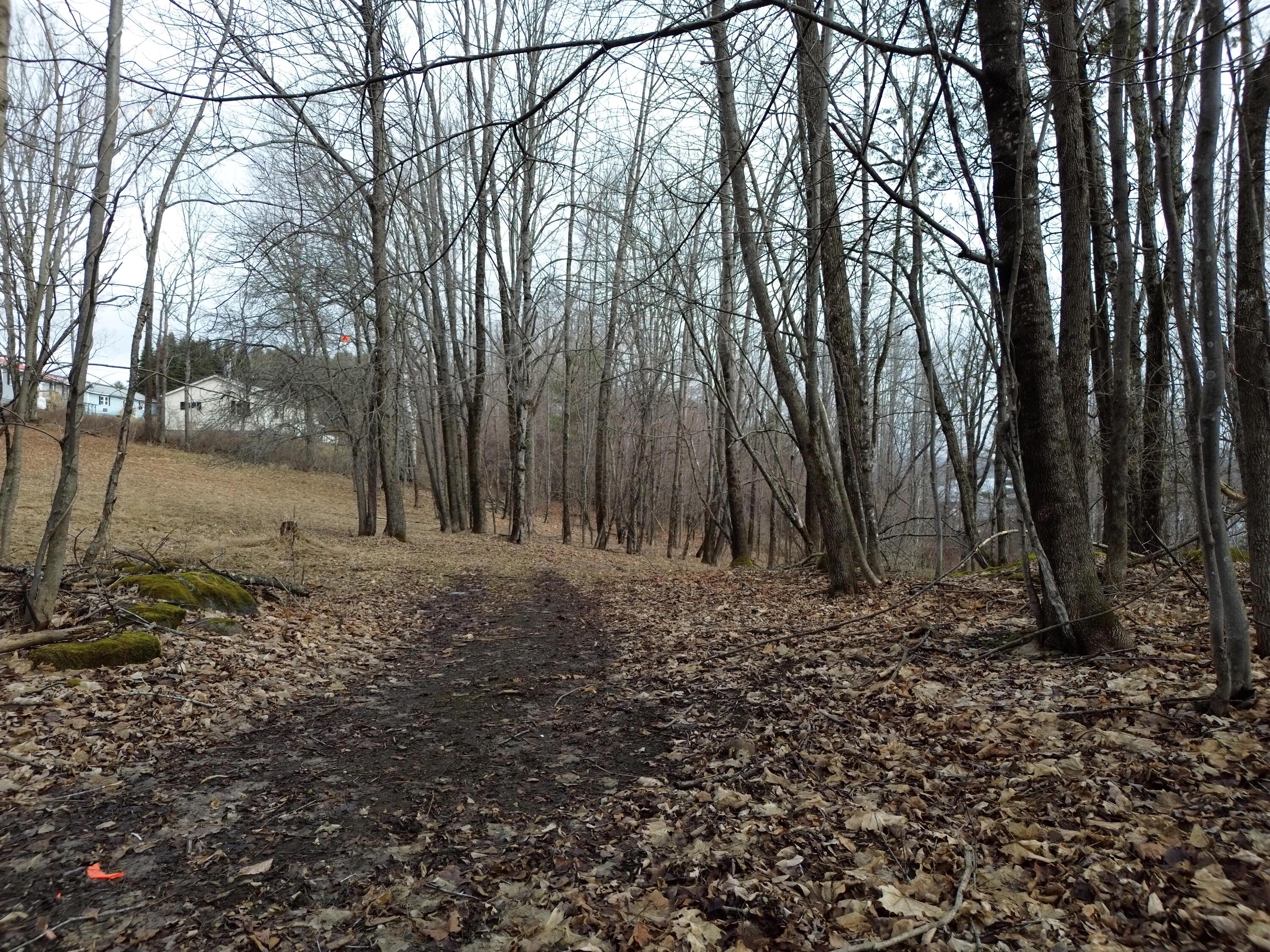 62 Grove Street Dexter, ME 04930 - Photo 9 of 23 DJI_0461