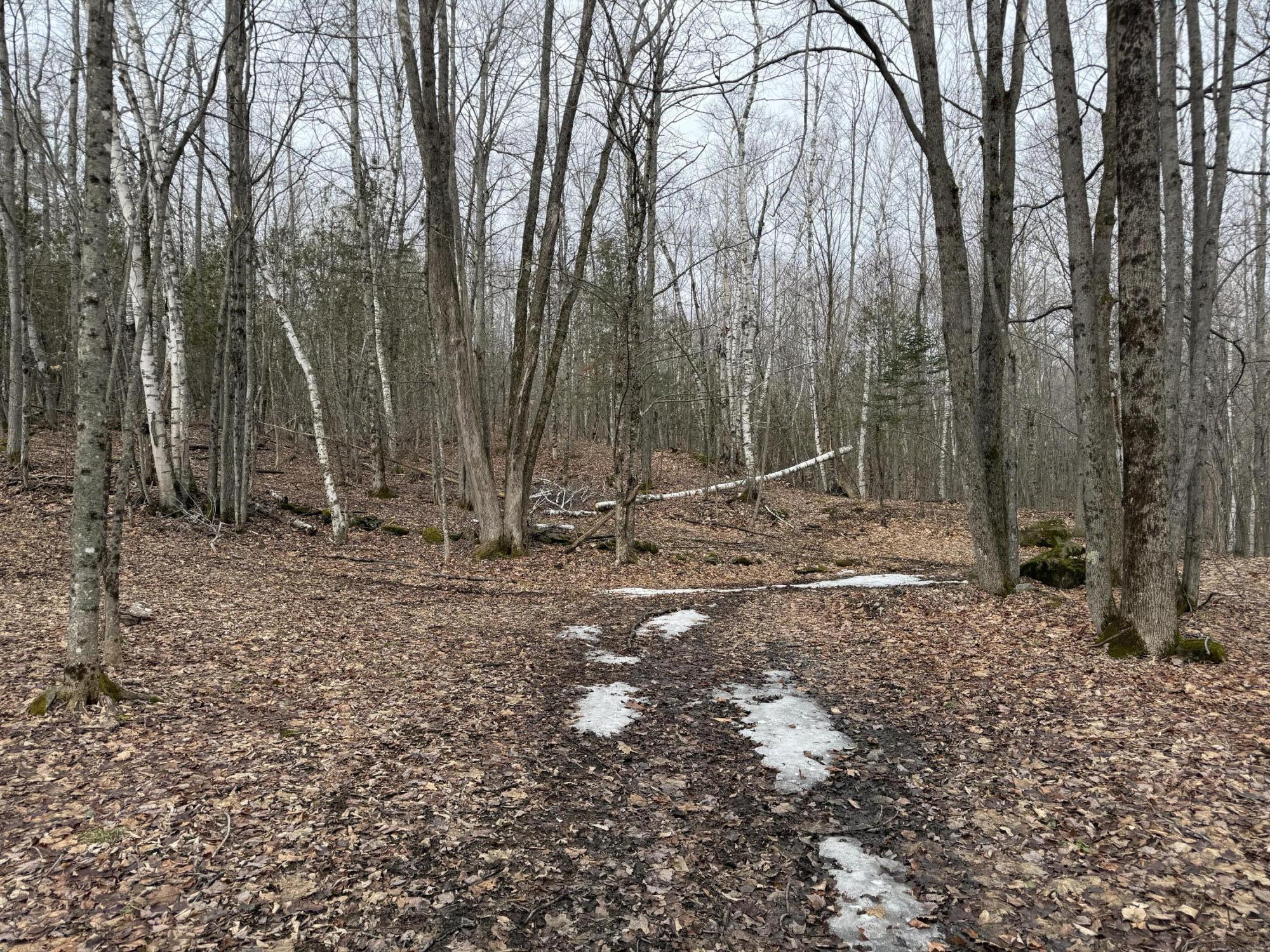 62 Grove Street Dexter, ME 04930 - Photo 10 of 23 IMG_5611