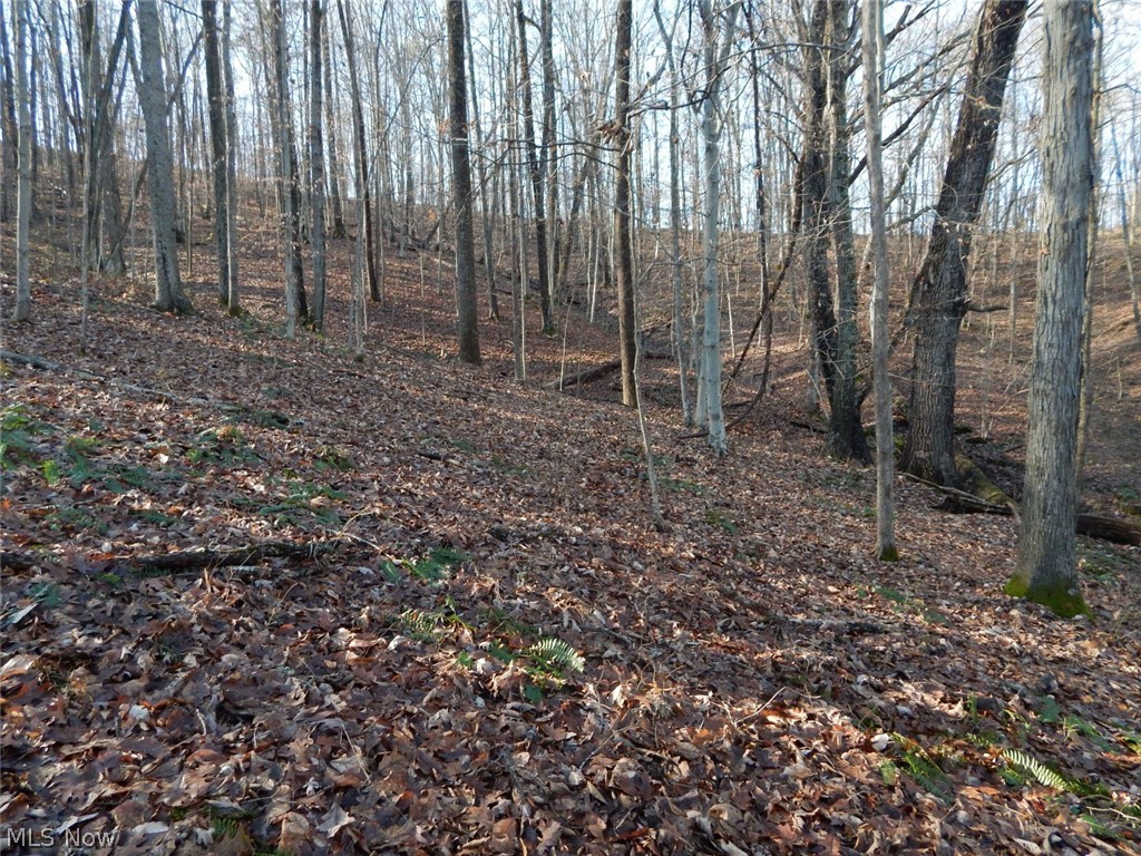 Mt Zion Road Harrisville, WV 26362 - Photo 20 of 23