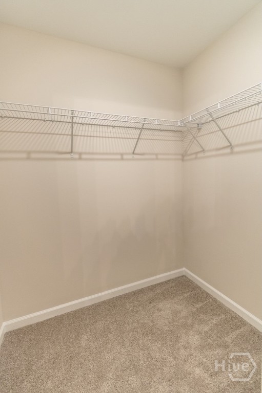 225 Bircholt Grove Pooler, GA 31322 - Photo 18 of 26 Gallery Image 18