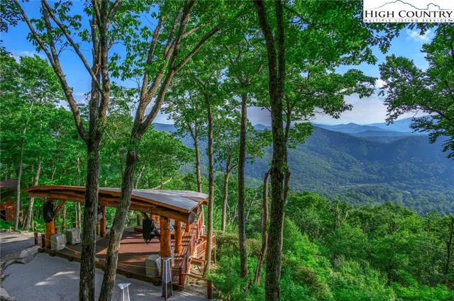 a view of a yard with plants