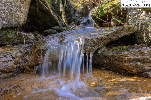 a view of a yard with plants and tree