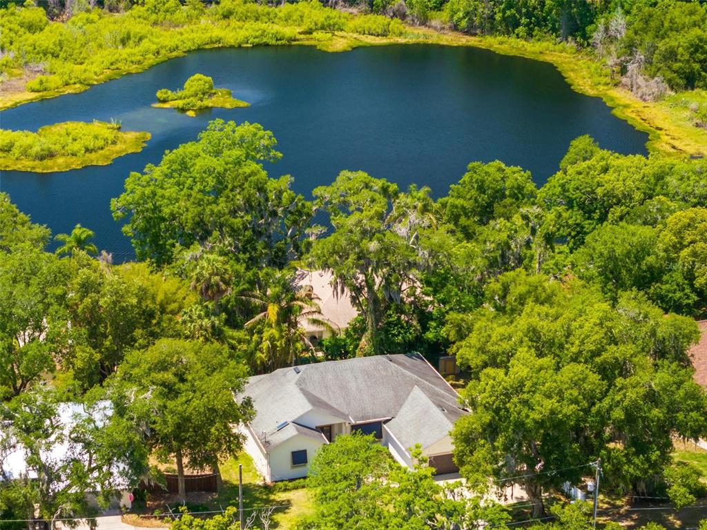 351 Groveland Road Mount Dora, FL 32757 - Photo 6 of 37