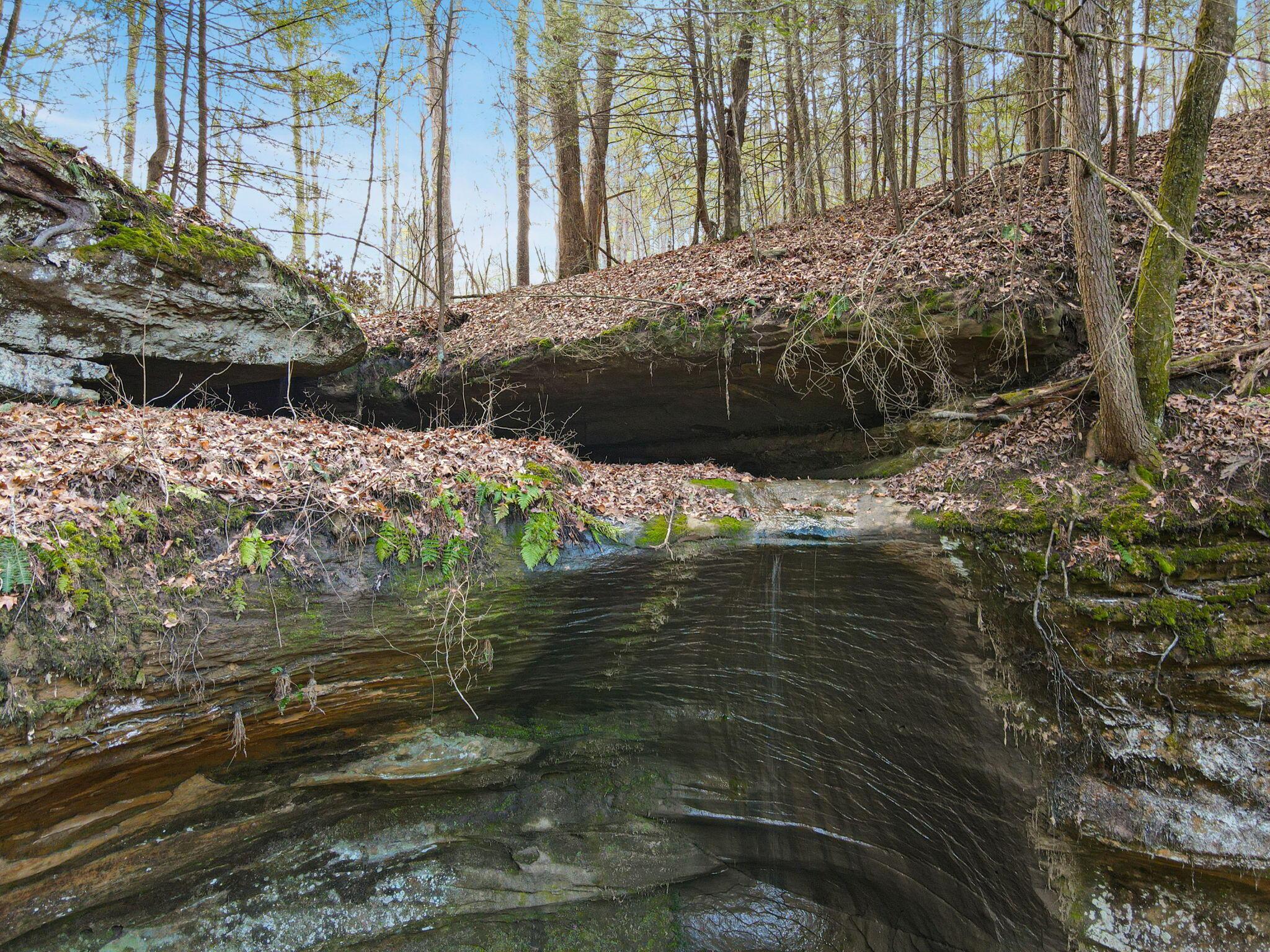 9385 Rich Hollow Road Southwest Lancaster, OH 43130 - Photo 117 of 146 76-web-or-mls-DJI_0698