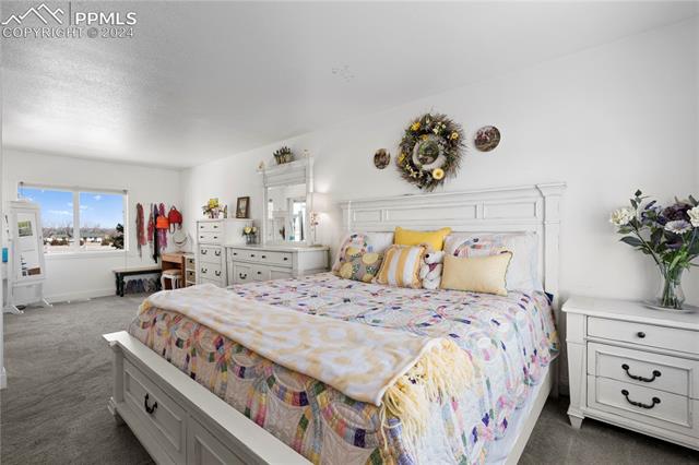 6375 Sayres Road Colorado Springs, CO 80927 - Photo 25 of 40 Bedroom with a textured ceiling and dark colored carpet