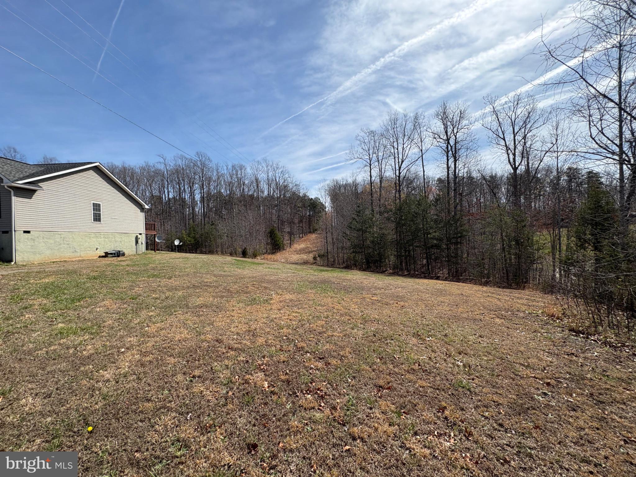 41 Elizabeth Lane Louisa, VA 23093 - Photo 3 of 19 Spacious yard with serene woodland views.