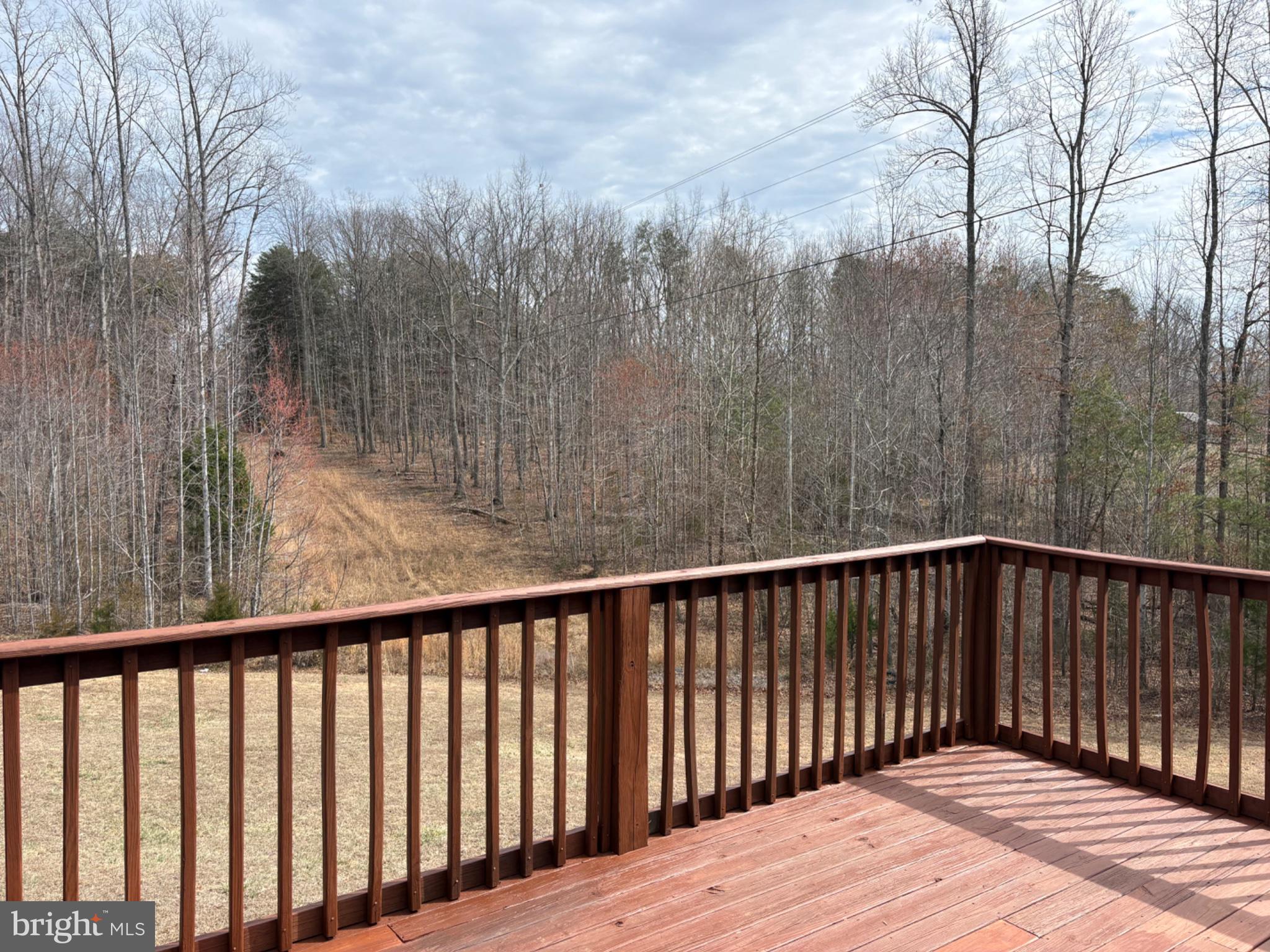 41 Elizabeth Lane Louisa, VA 23093 - Photo 9 of 19 Tranquil views from a rustic deck.