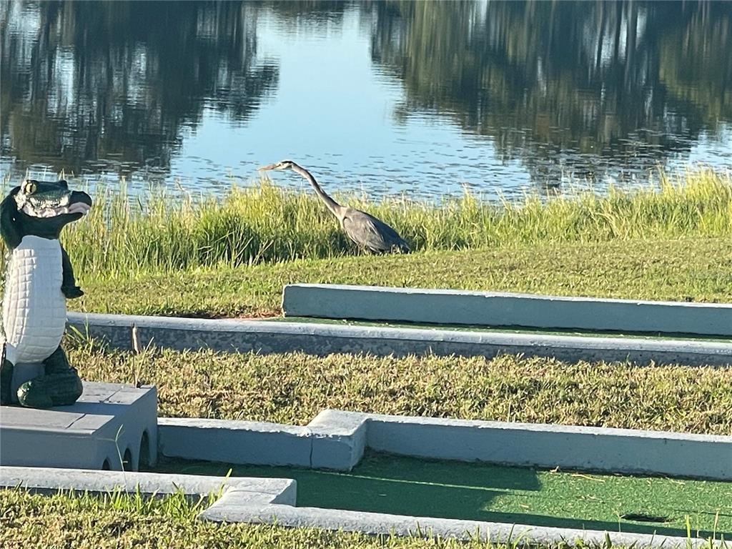 4179 Rolling Oaks Drive Winter Haven, FL 33880 - Photo 20 of 31 a view of a lake from a window