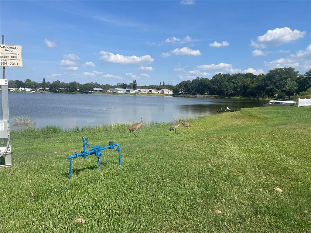 4179 Rolling Oaks Drive Winter Haven, FL 33880 - Photo 30 of 31 a backyard of a house with table and lake view