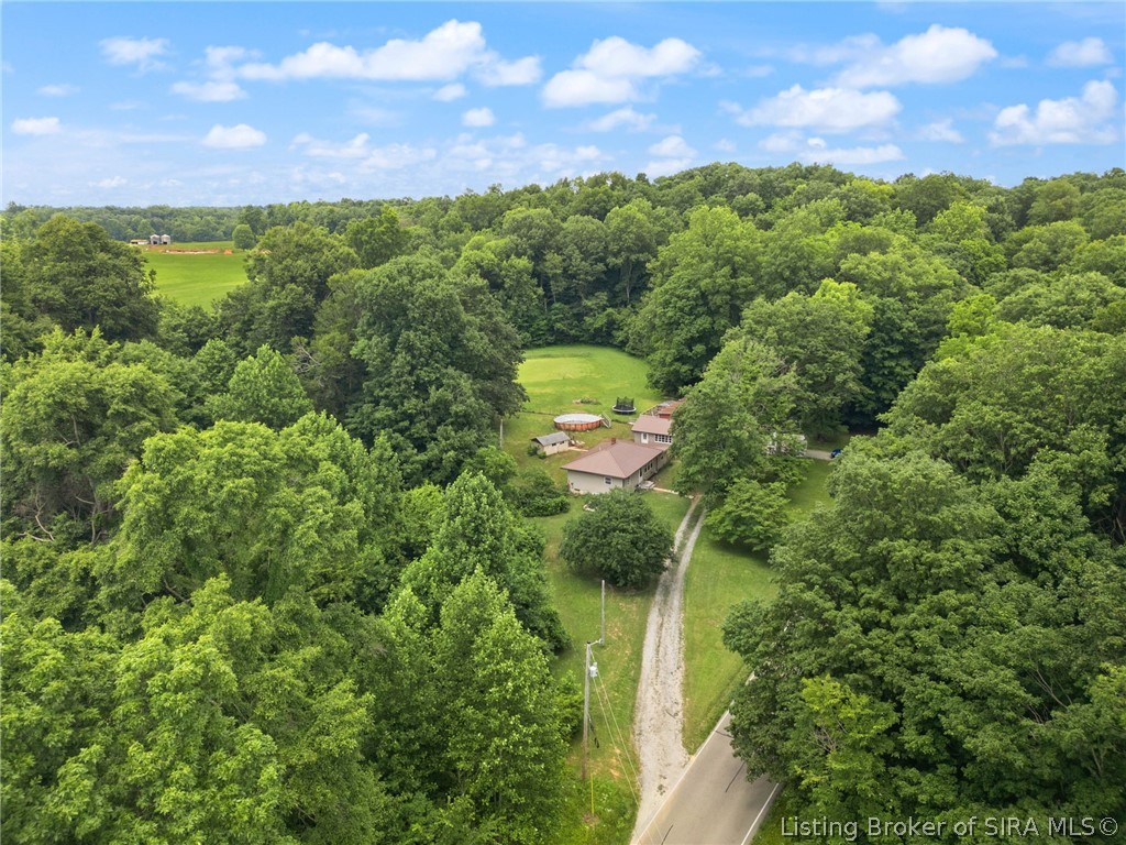 3995 Doolittle Hill Road Southeast Elizabeth, IN 47117 - Photo 4 of 50