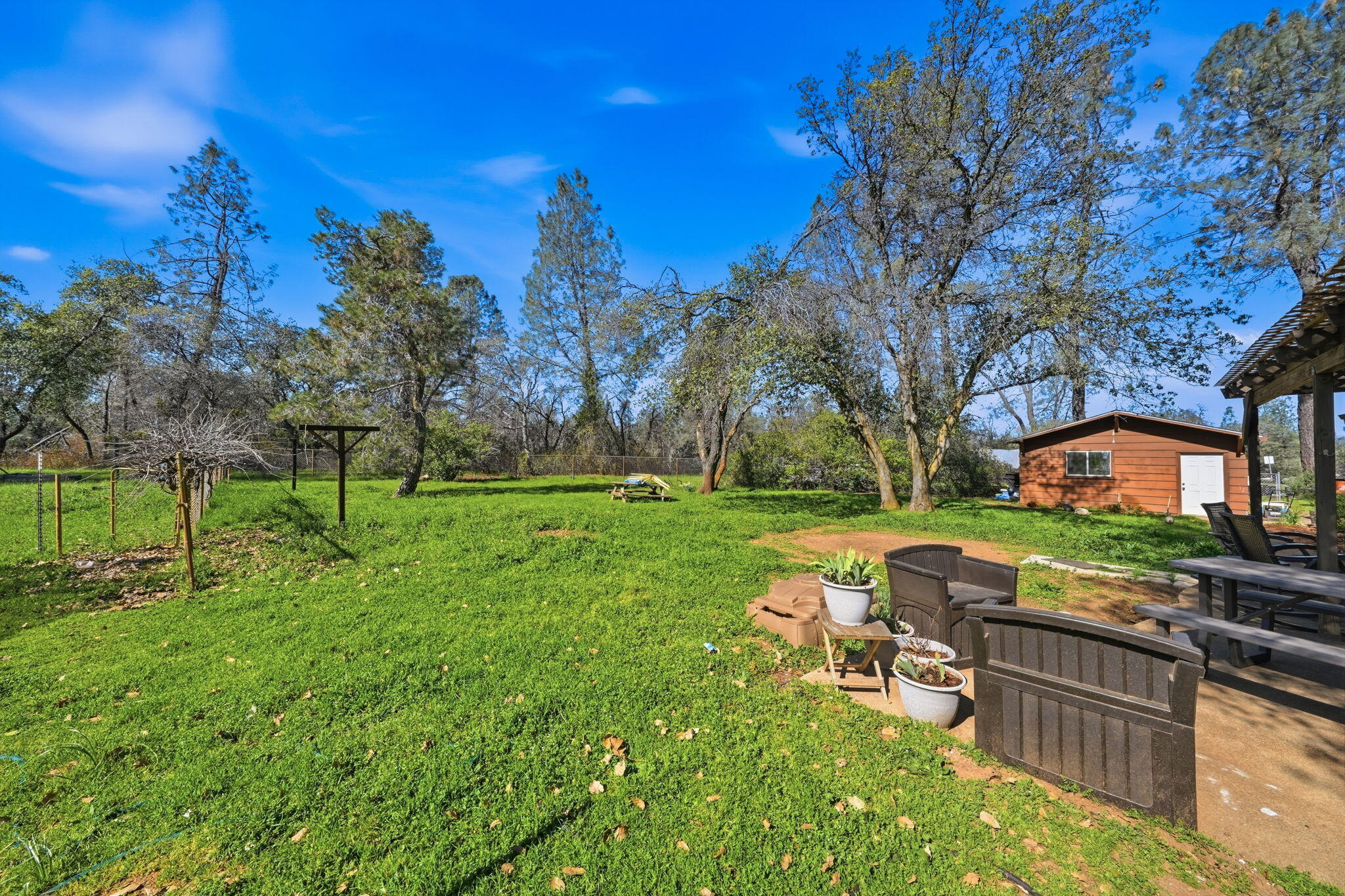 16533 Blue Horse Road Anderson, CA 96007 - Photo 35 of 76 34-web-or-mls-IMG-34