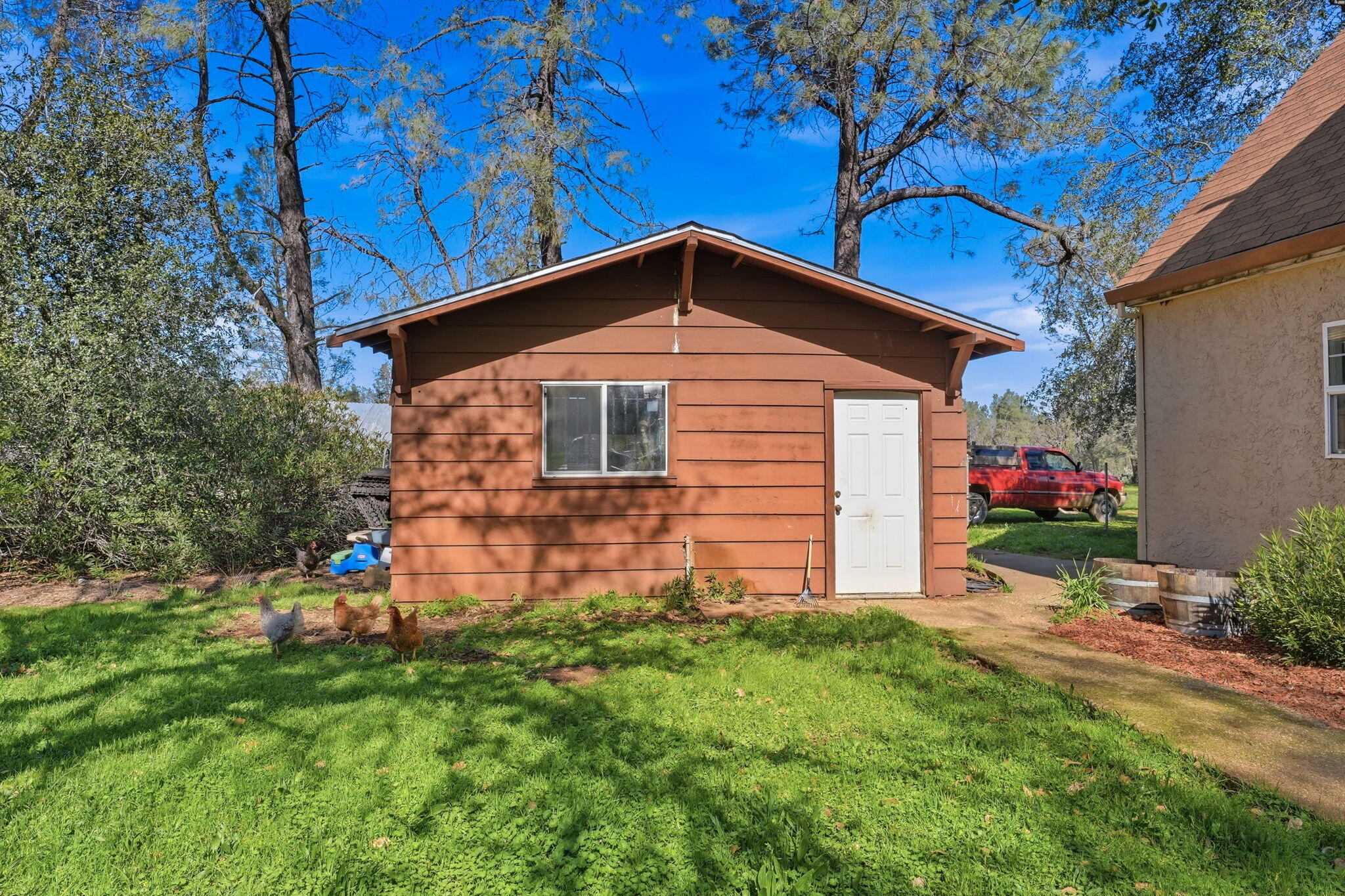 16533 Blue Horse Road Anderson, CA 96007 - Photo 38 of 76 37-web-or-mls-IMG-37