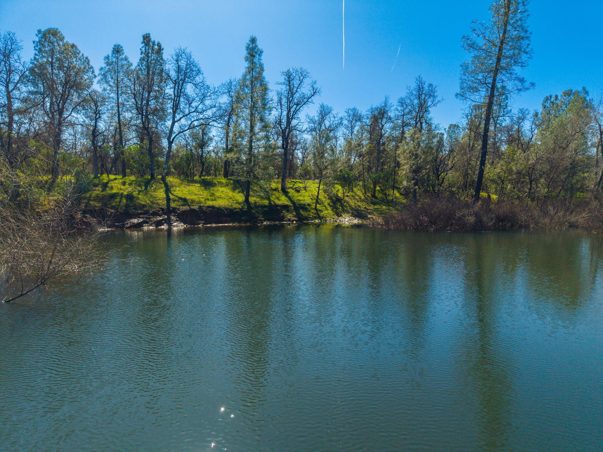 16533 Blue Horse Road Anderson, CA 96007 - Photo 50 of 76 49-web-or-mls-IMG-49
