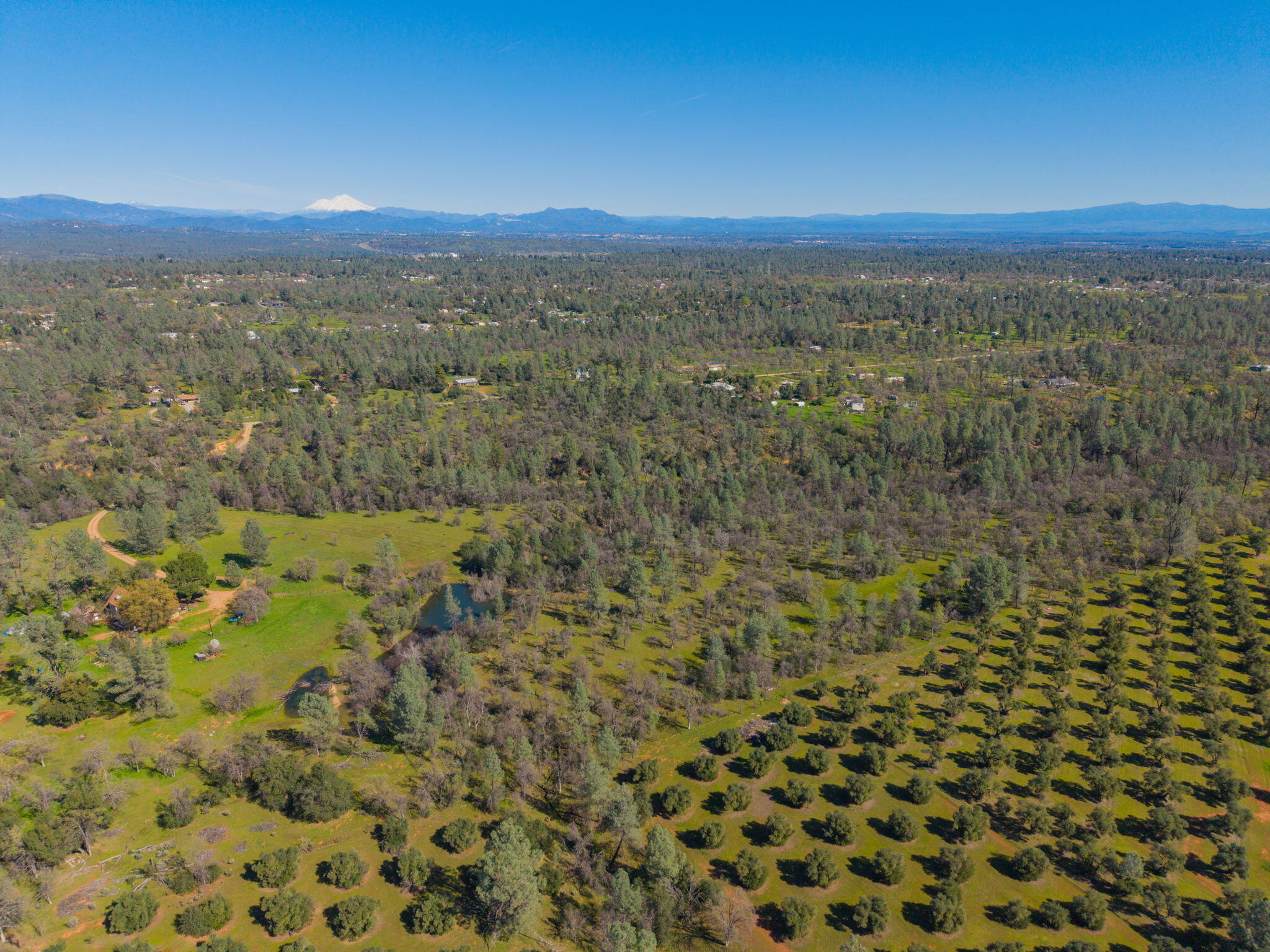 16533 Blue Horse Road Anderson, CA 96007 - Photo 66 of 76 66-web-or-mls-IMG-66
