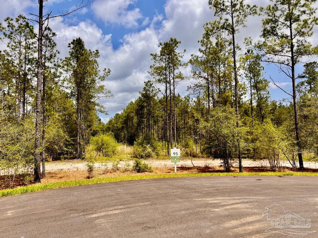 Lot 95 Turning Leaf Road Milton, FL 32571 - Photo 7 of 42 Gallery Image 7