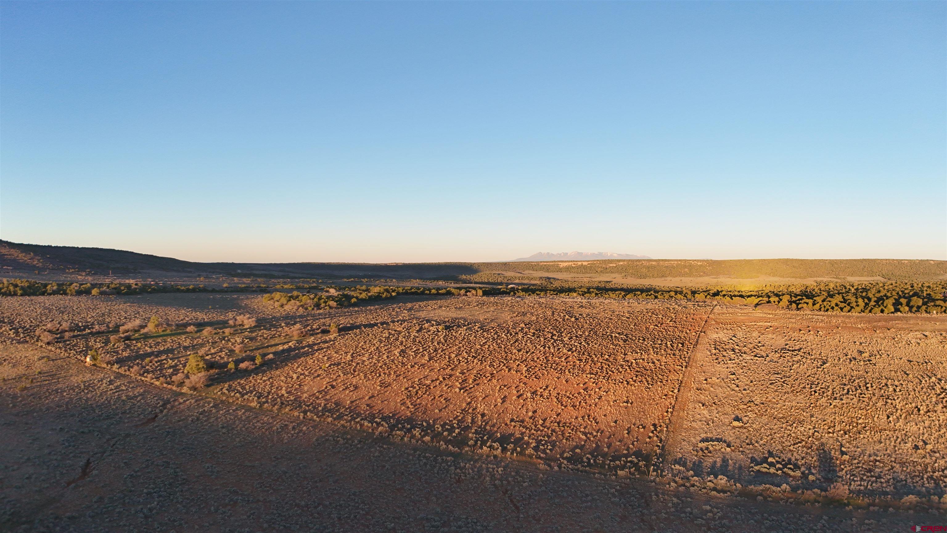 Tract 14 9k Road Egnar, CO 81325 - Photo 11 of 21