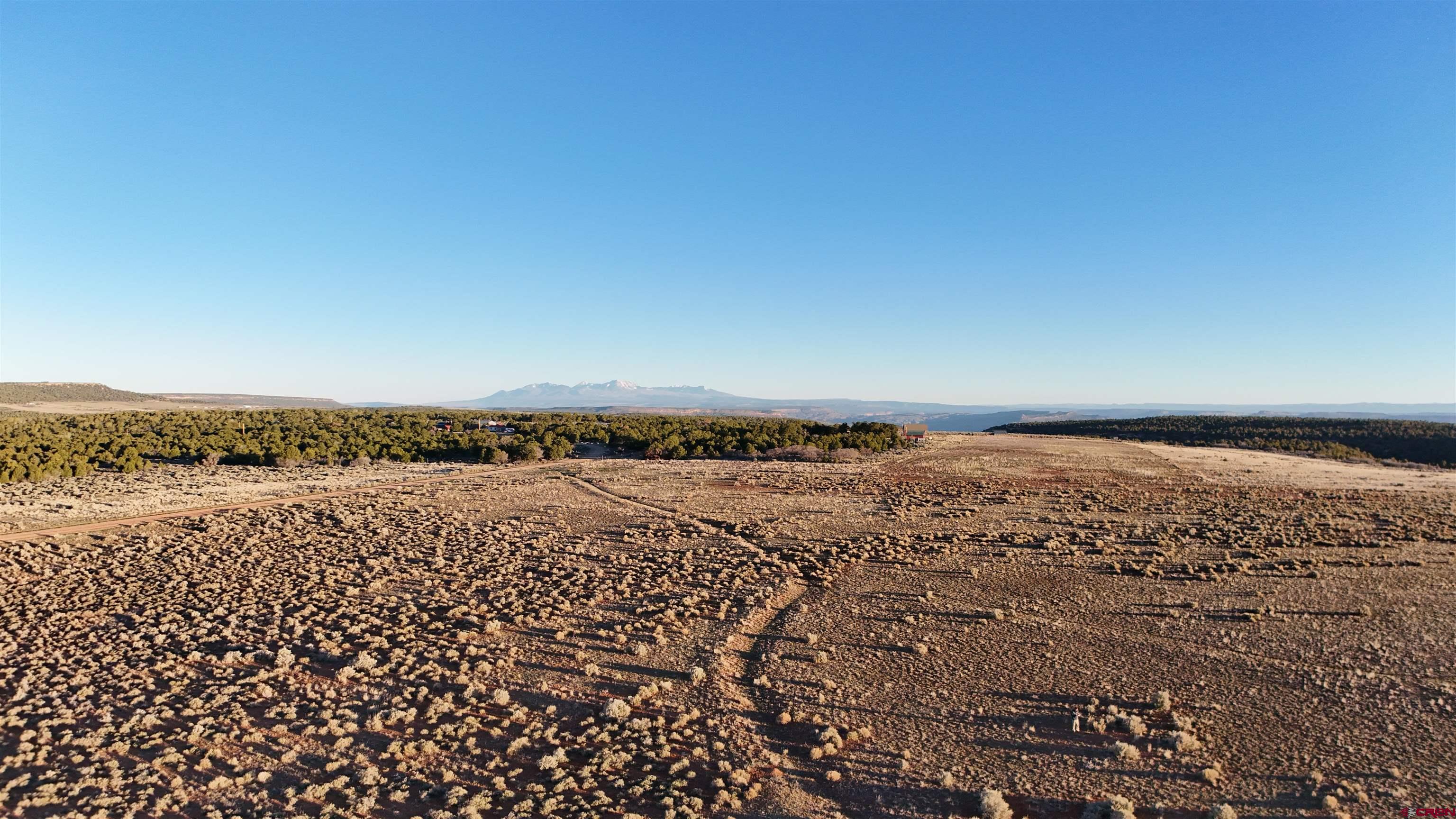 Tract 14 9k Road Egnar, CO 81325 - Photo 12 of 21