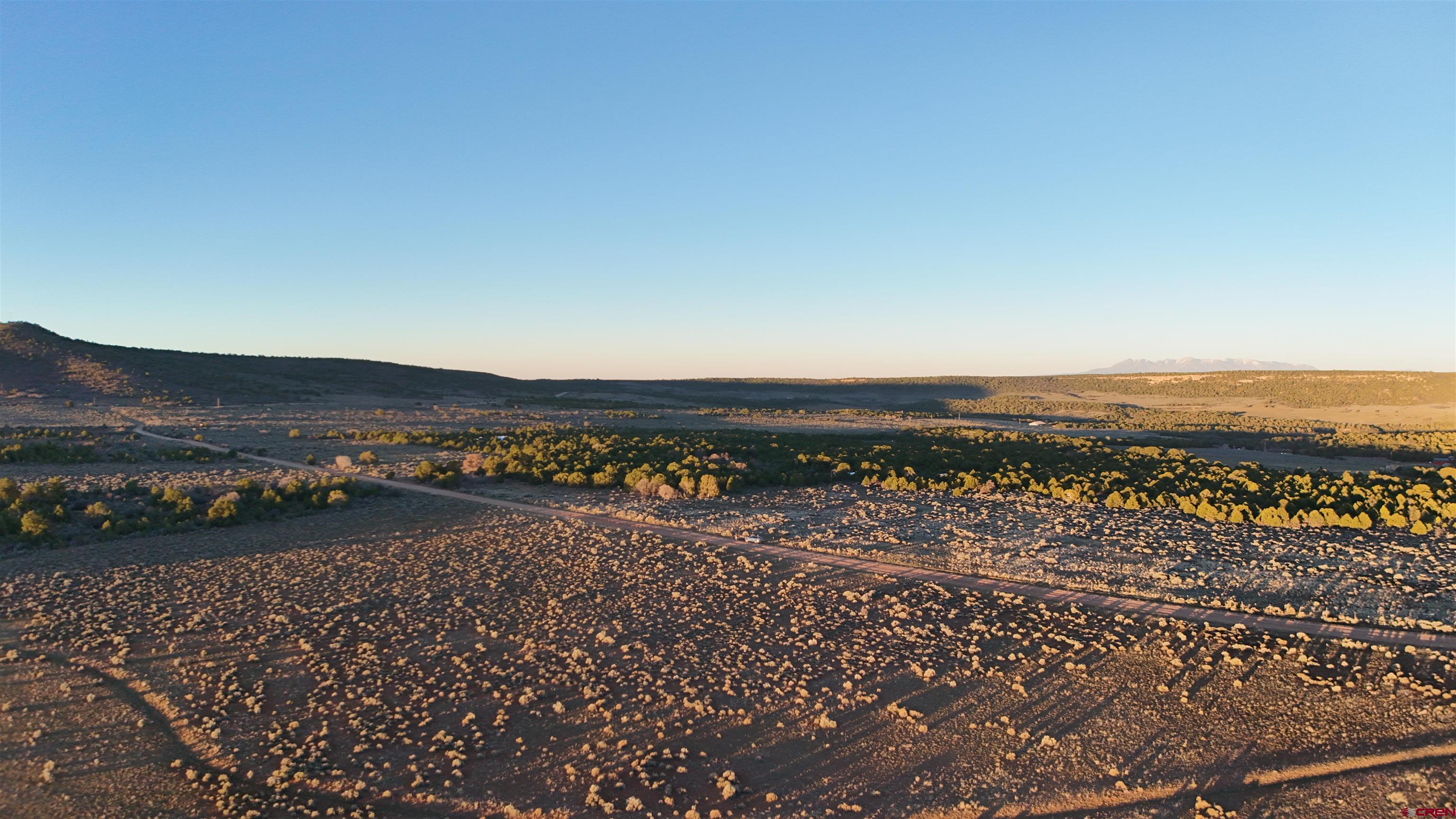 Tract 14 9k Road Egnar, CO 81325 - Photo 13 of 21